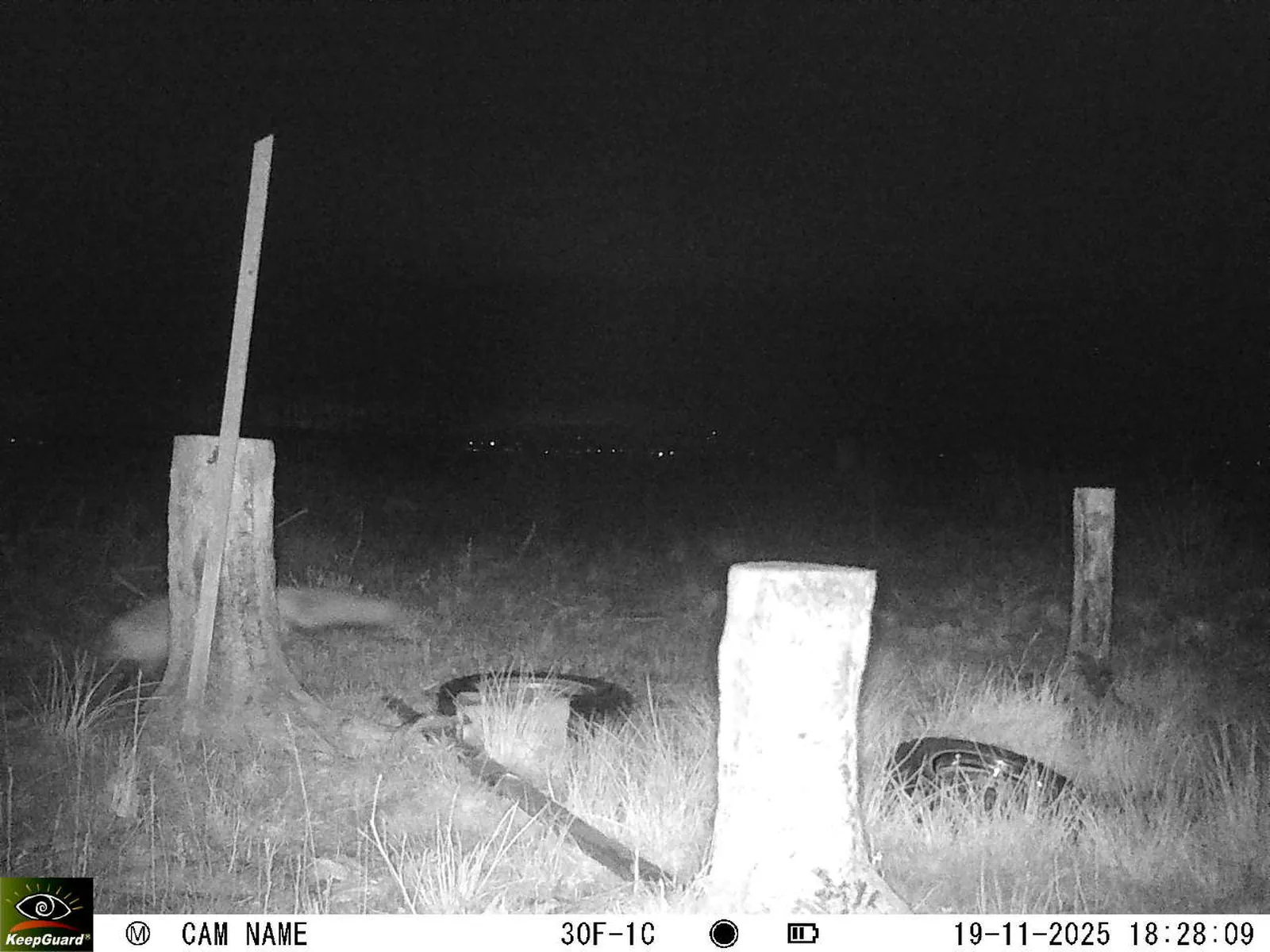 Bild: 1763569745870502024_11190095.webp