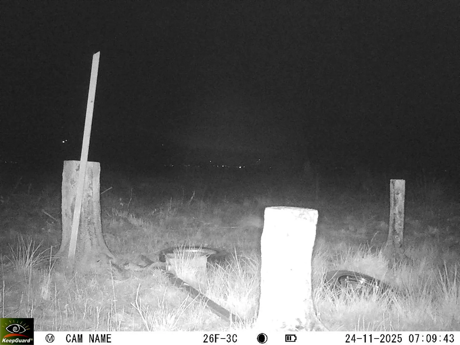 Bild: 1763961052311968111_11240111.webp