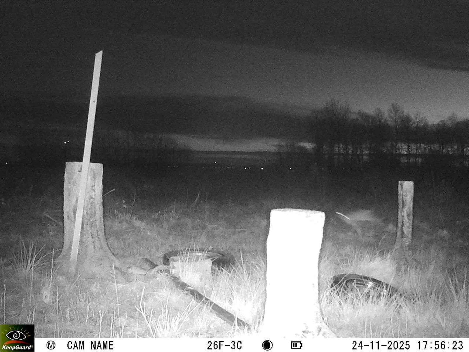 Bild: 1763999852275971597_11240112.webp