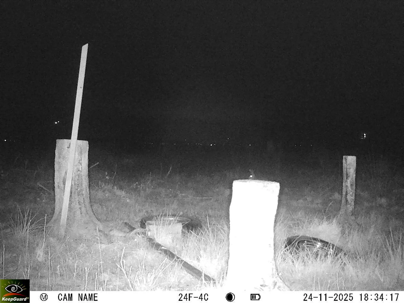 Bild: 1764002123022815831_11240113.webp