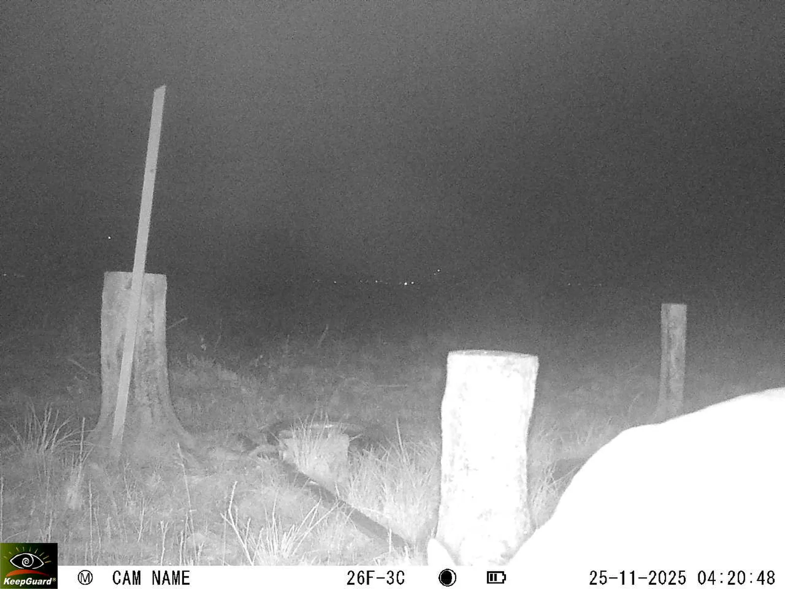 Bild: 1764037314826988627_11250114.webp