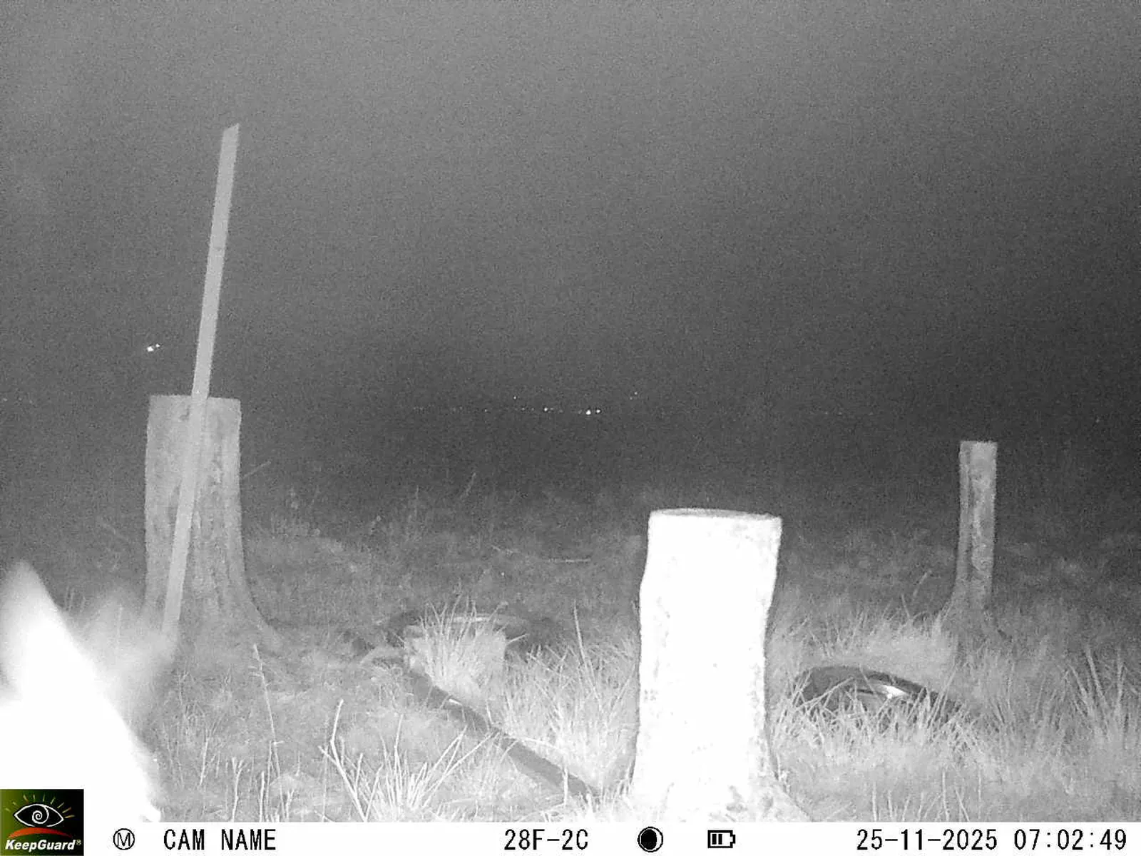 Bild: 1764047037546361661_11250115.webp