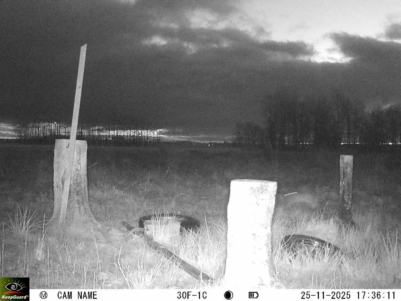 Bild: 1764085039941057203_11250116.webp