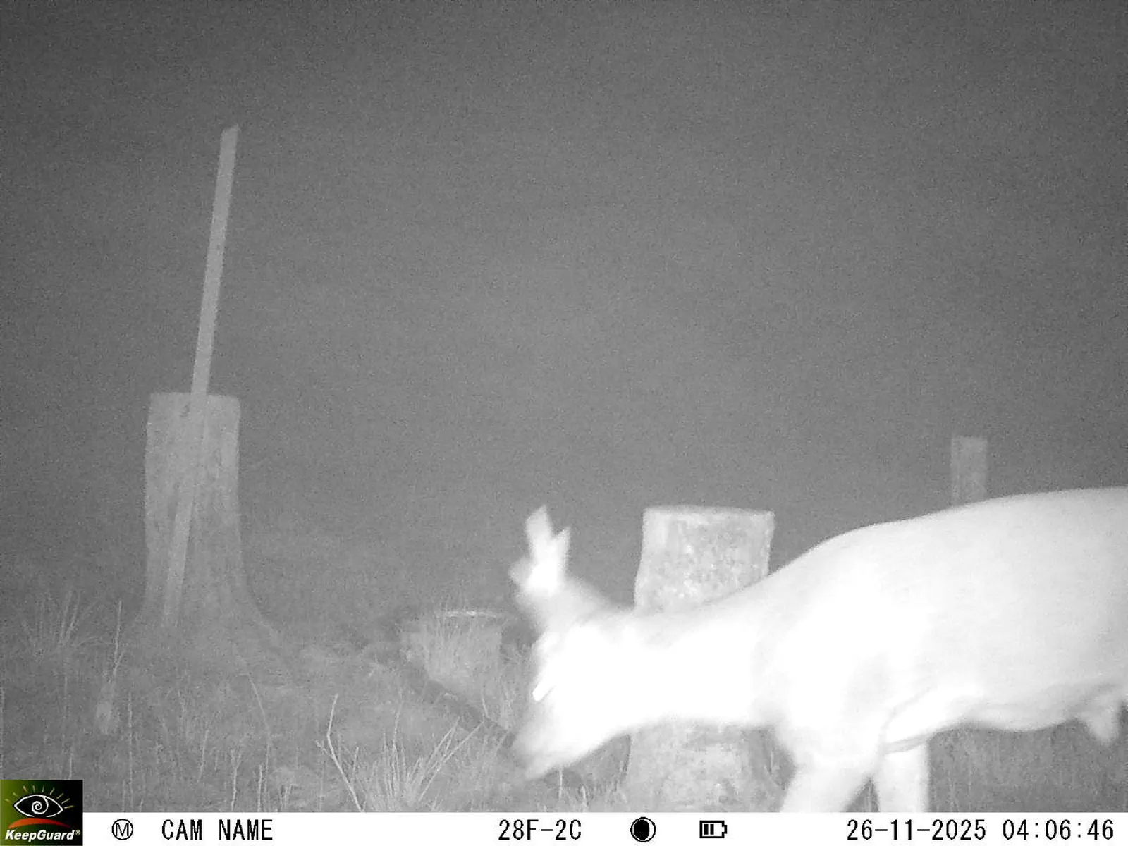 Bild: 1764122874271264816_11260117.webp