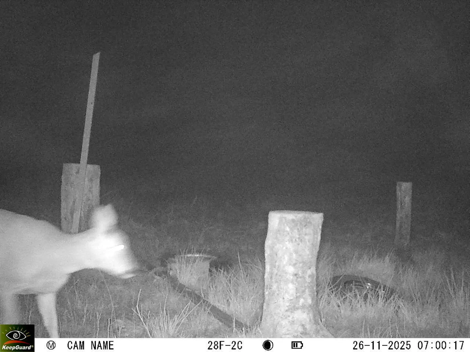 Bild: 1764133288409610716_11260118.webp