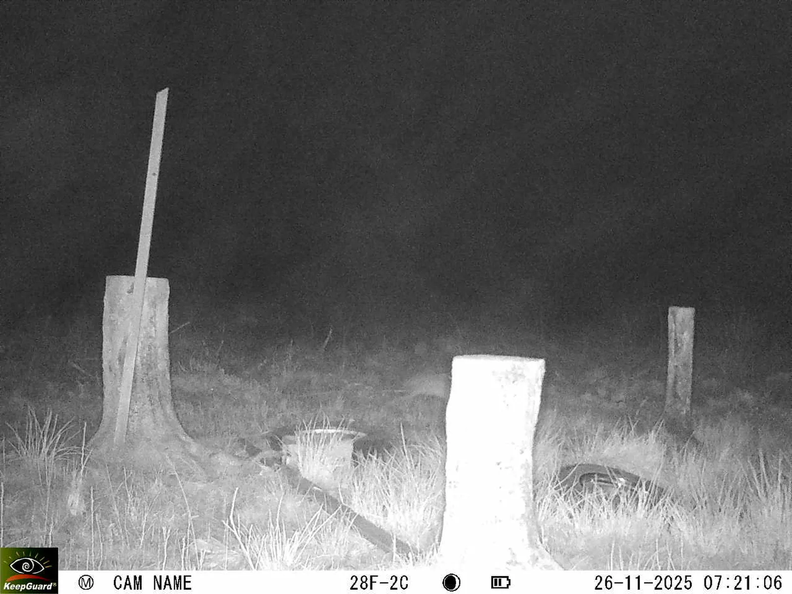 Bild: 1764134533932090020_11260119.webp