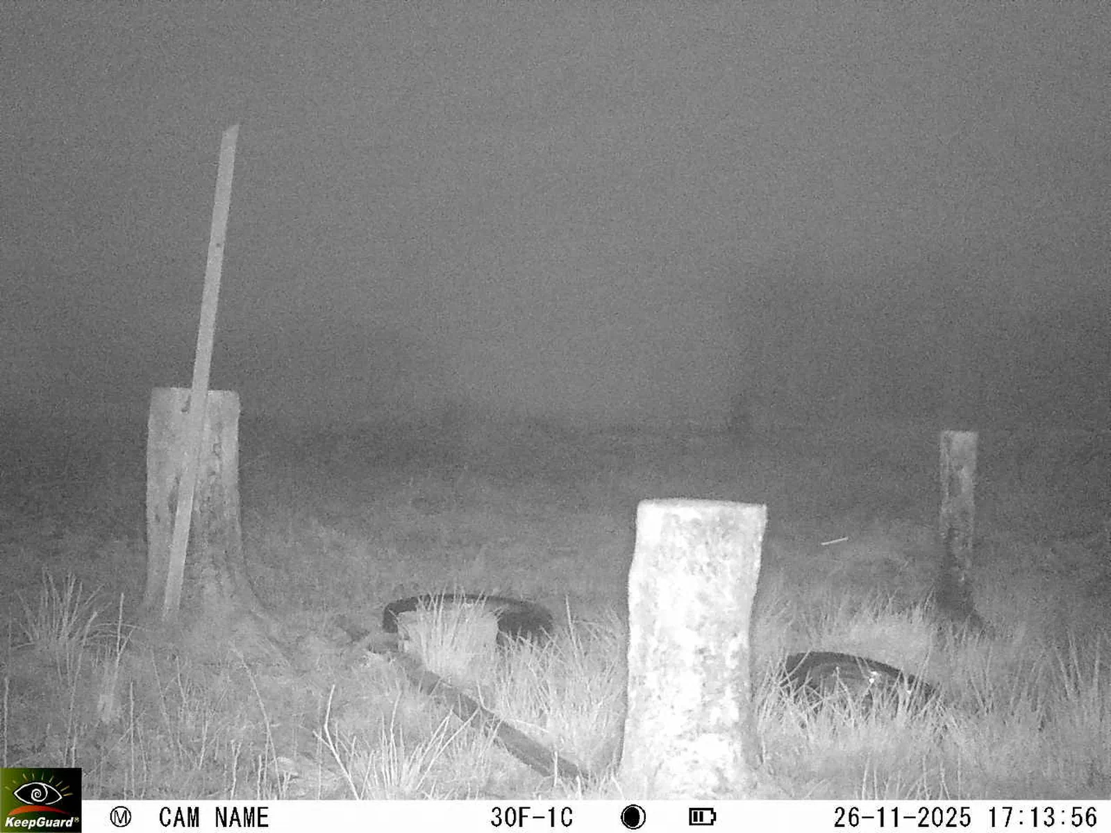 Bild: 1764170110631466456_11260120.webp