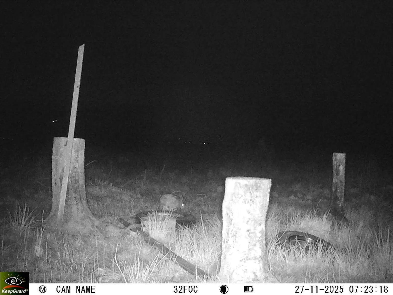 Bild: 1764221068533645602_11270121.webp