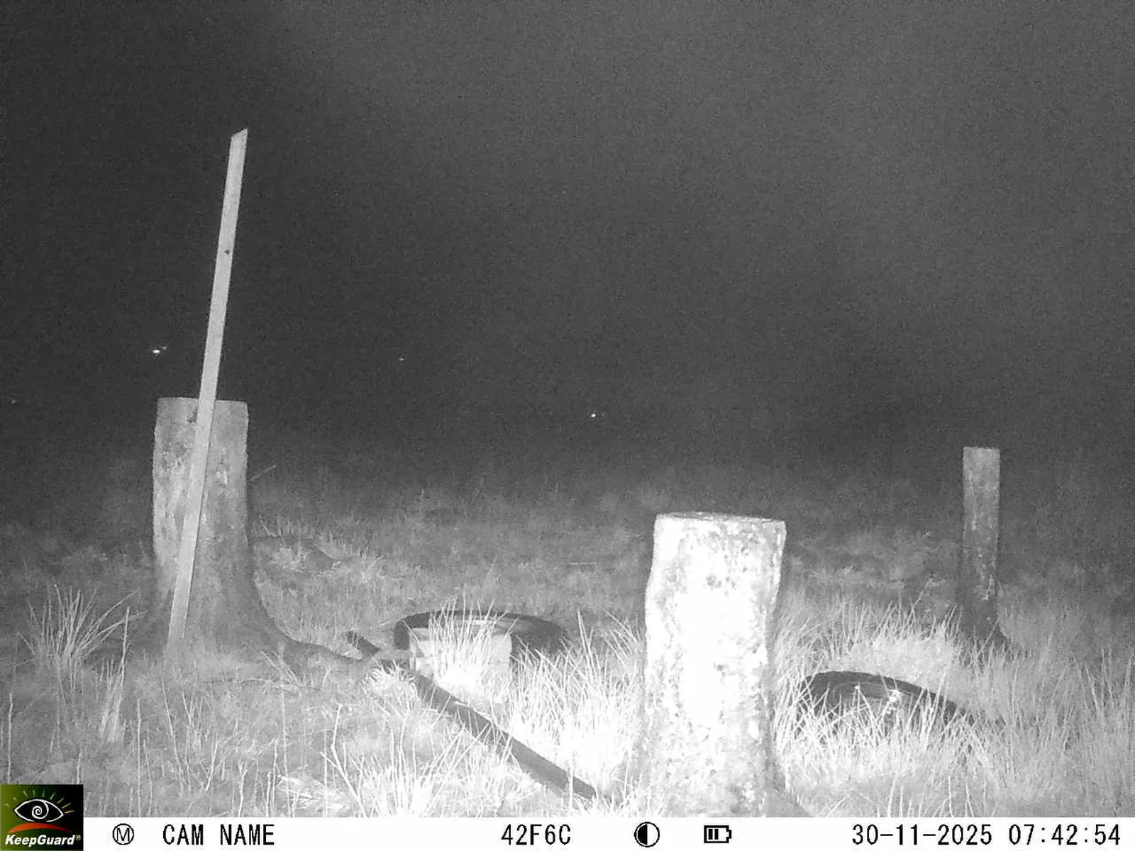 Bild: 1764481447344326881_11300122.webp