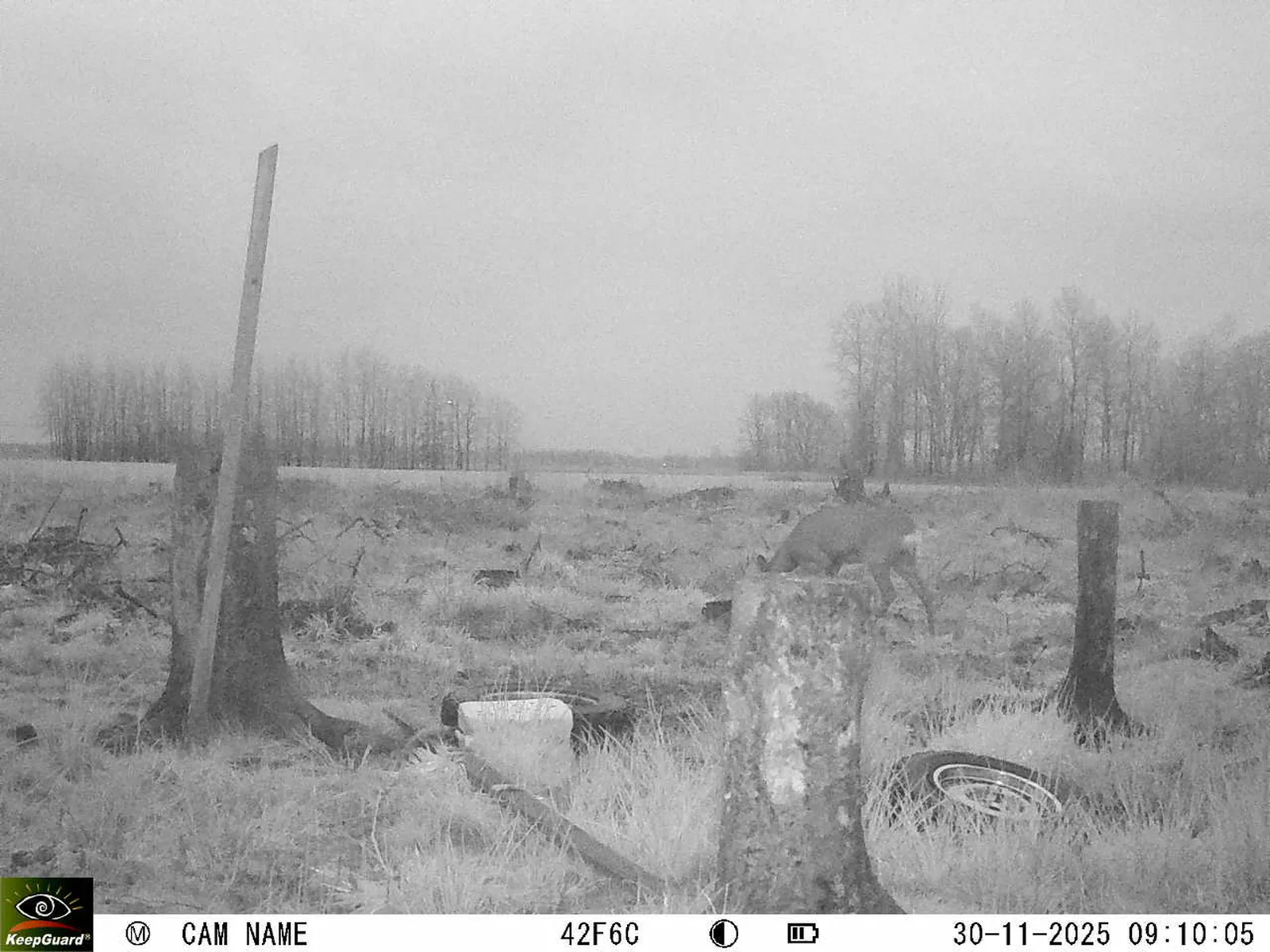 Bild: 1764486676928574597_11300124.webp