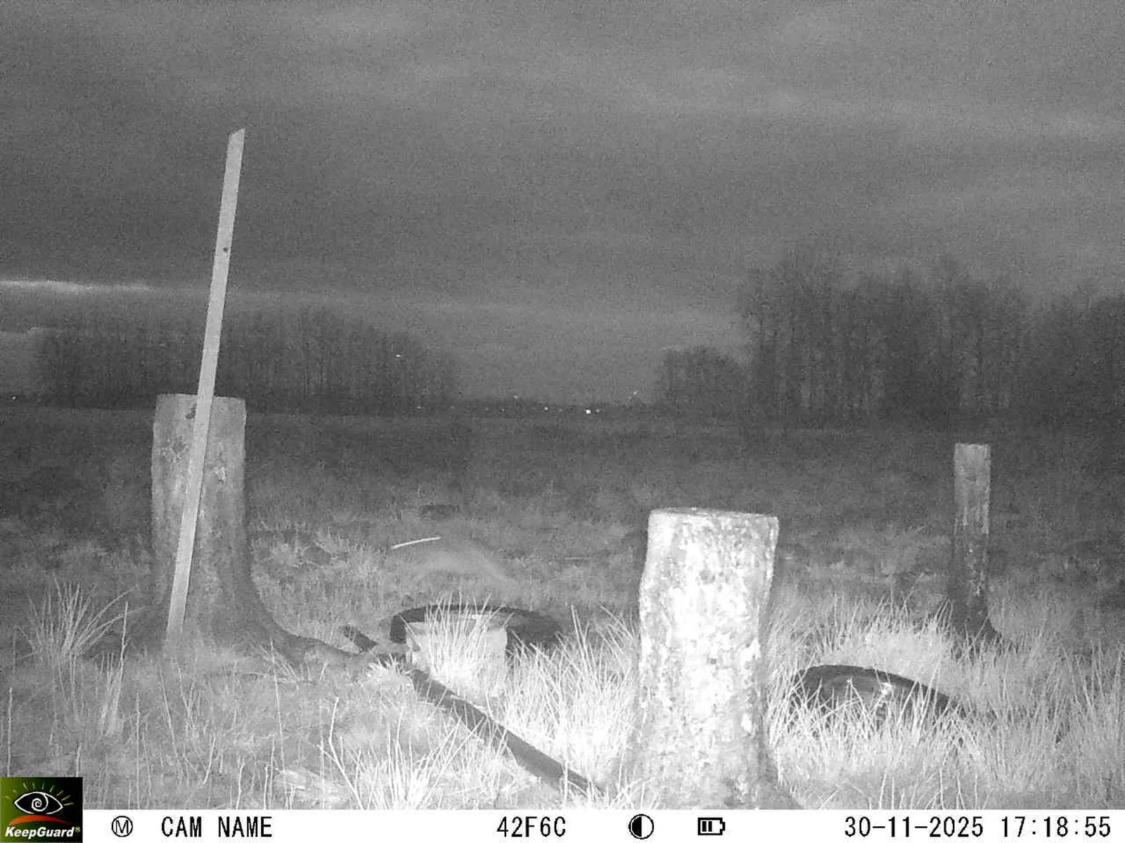 Bild: 1764516009567857378_11300125.webp