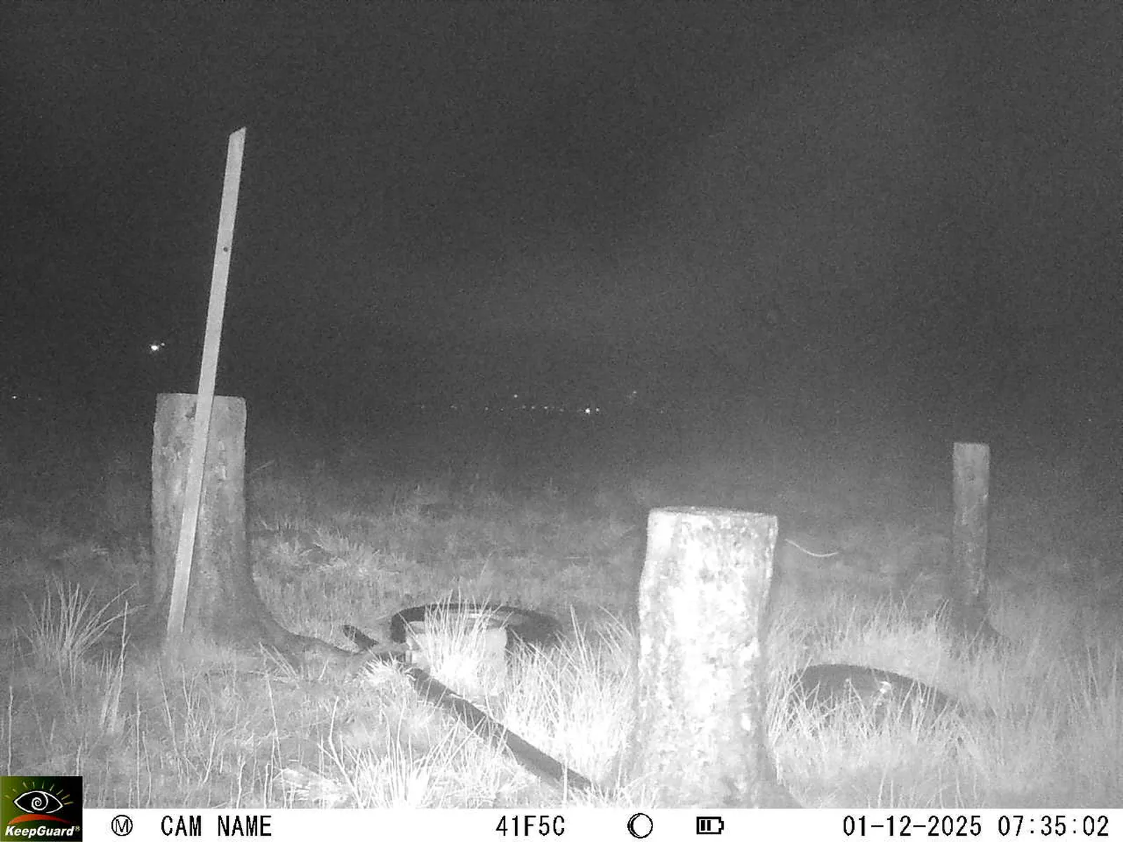 Bild: 1764567375273357830_12010126.webp