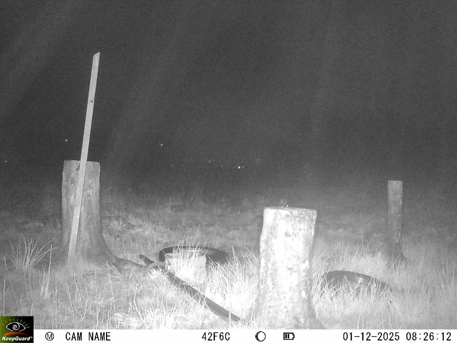 Bild: 1764570445157105605_12010127.webp