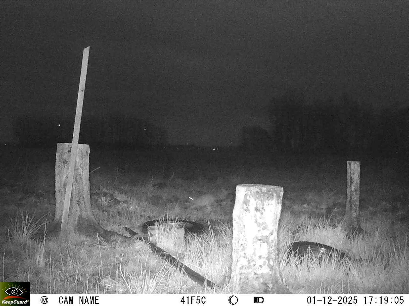 Bild: 1764602420585321366_12010128.webp