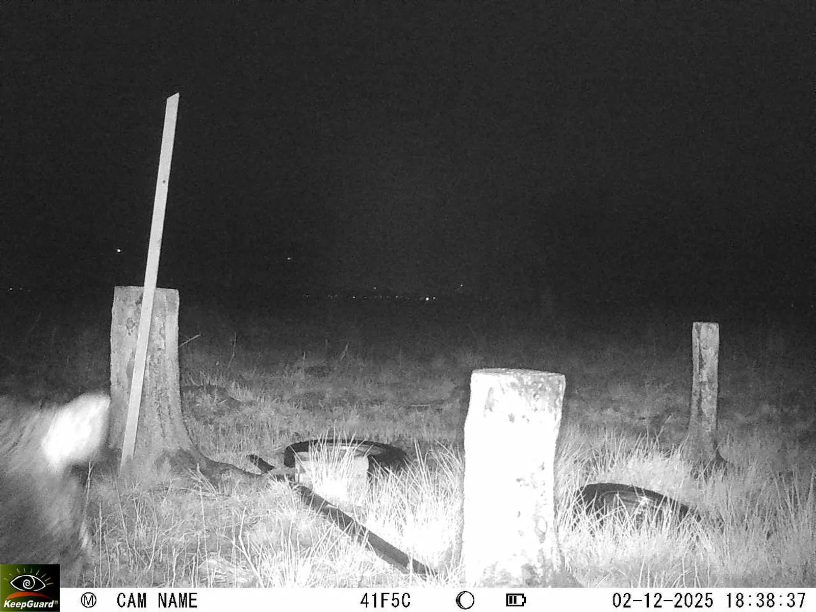 Bild: 1764693590610856606_12020129.webp