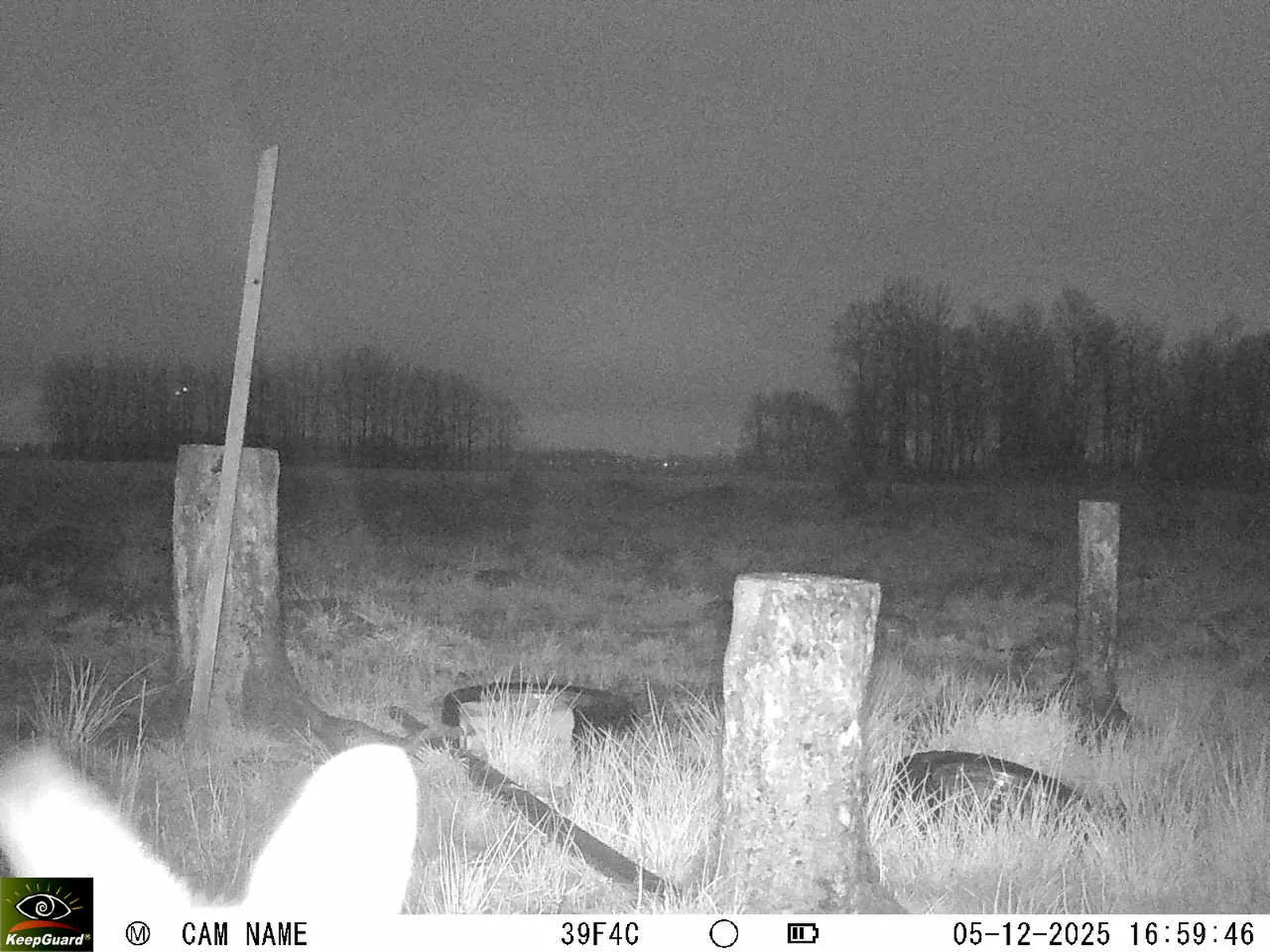 Bild: 1764946867056375193_12050136.webp