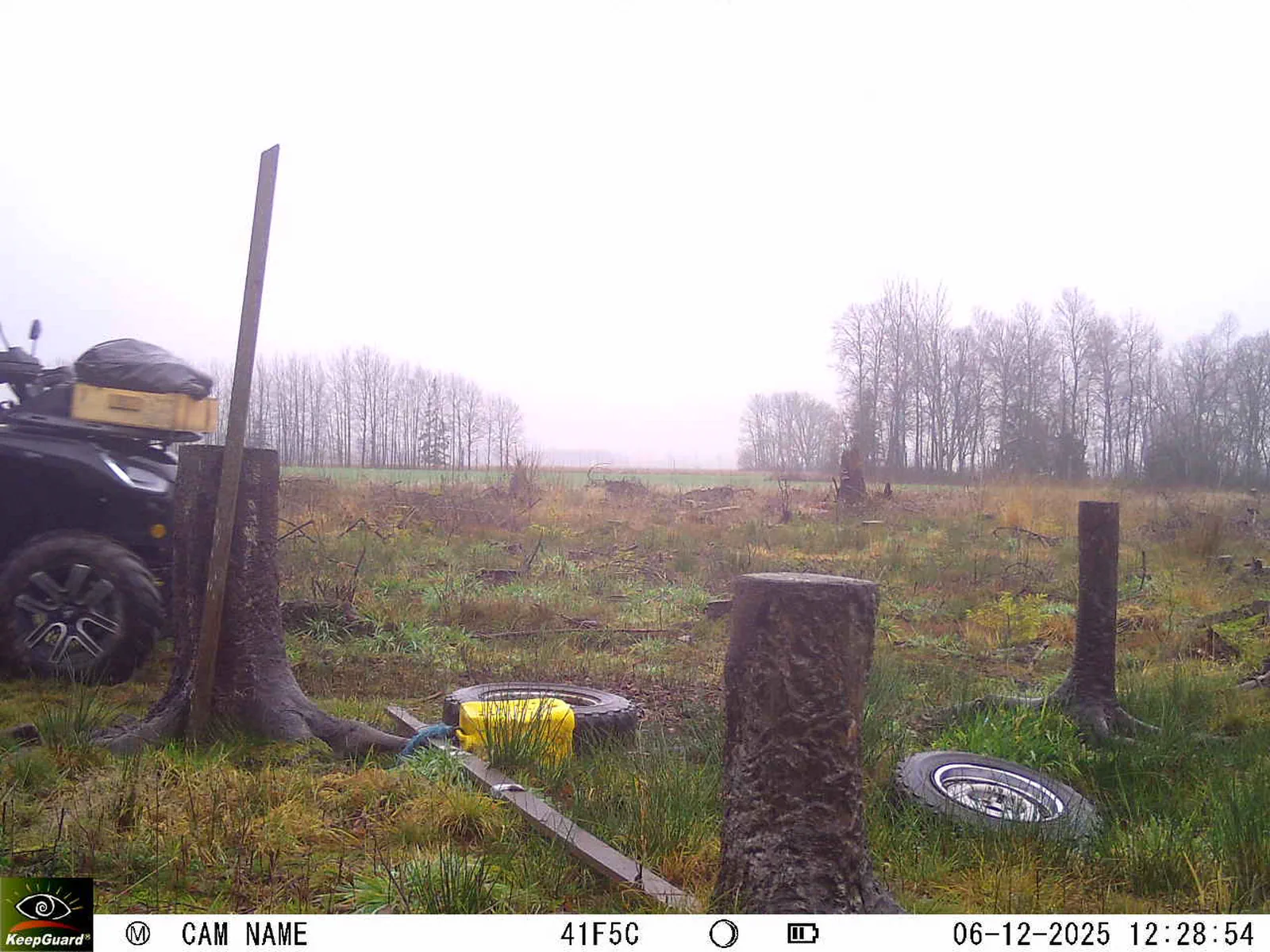 Bild: 1765017018980100998_12060137.webp