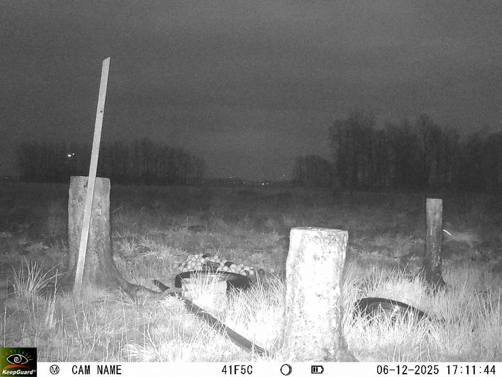 Bild: 1765033982324866626_12060138.webp