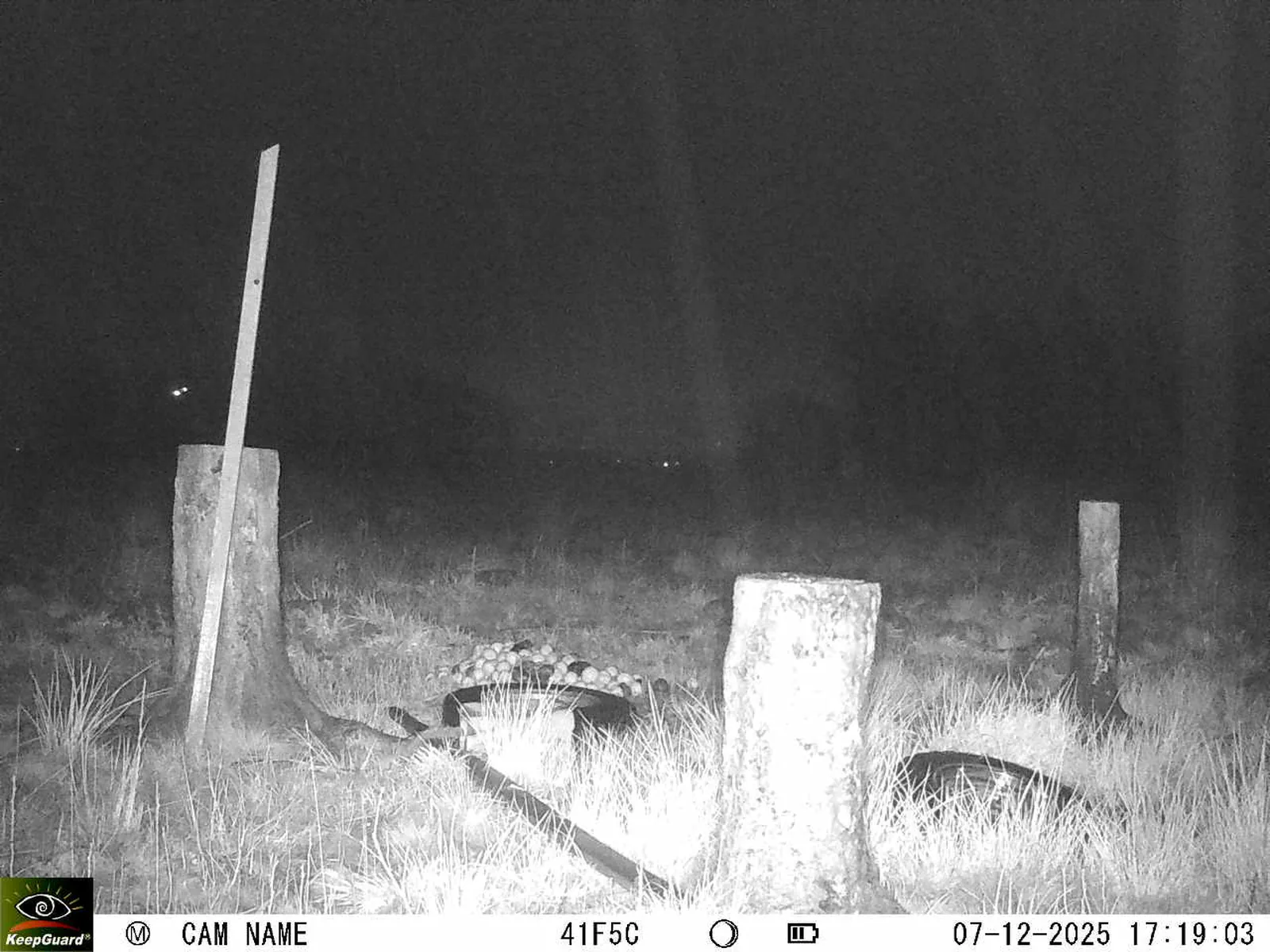 Bild: 1765120822545178600_12070139.webp