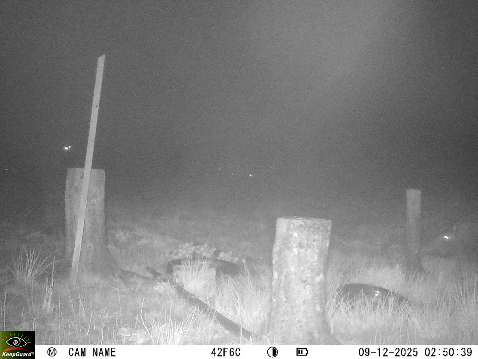 Bild: 1765241519591246123_12090140.webp