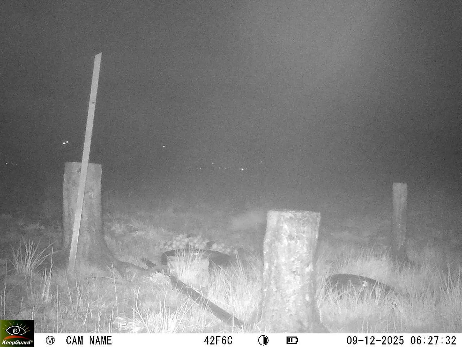 Bild: 1765254532785862884_12090141.webp