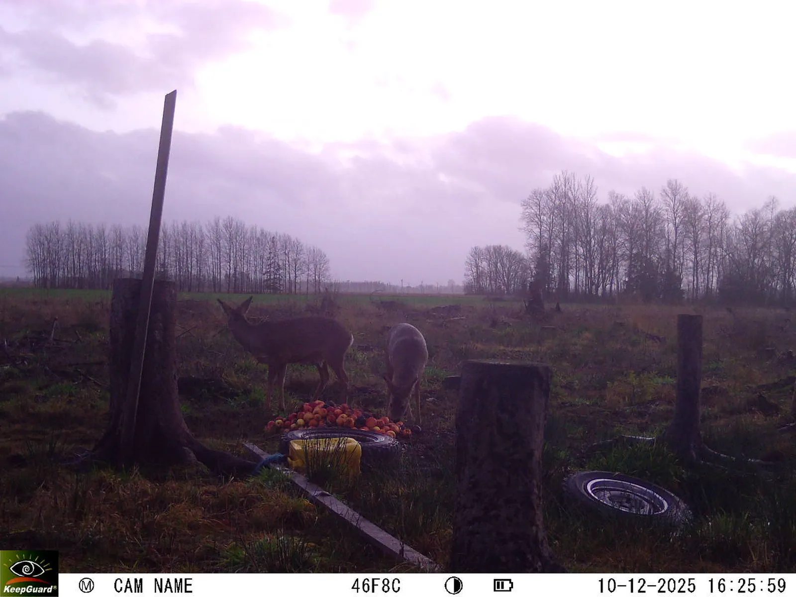 Bild: 1765376841400883398_12100143.webp