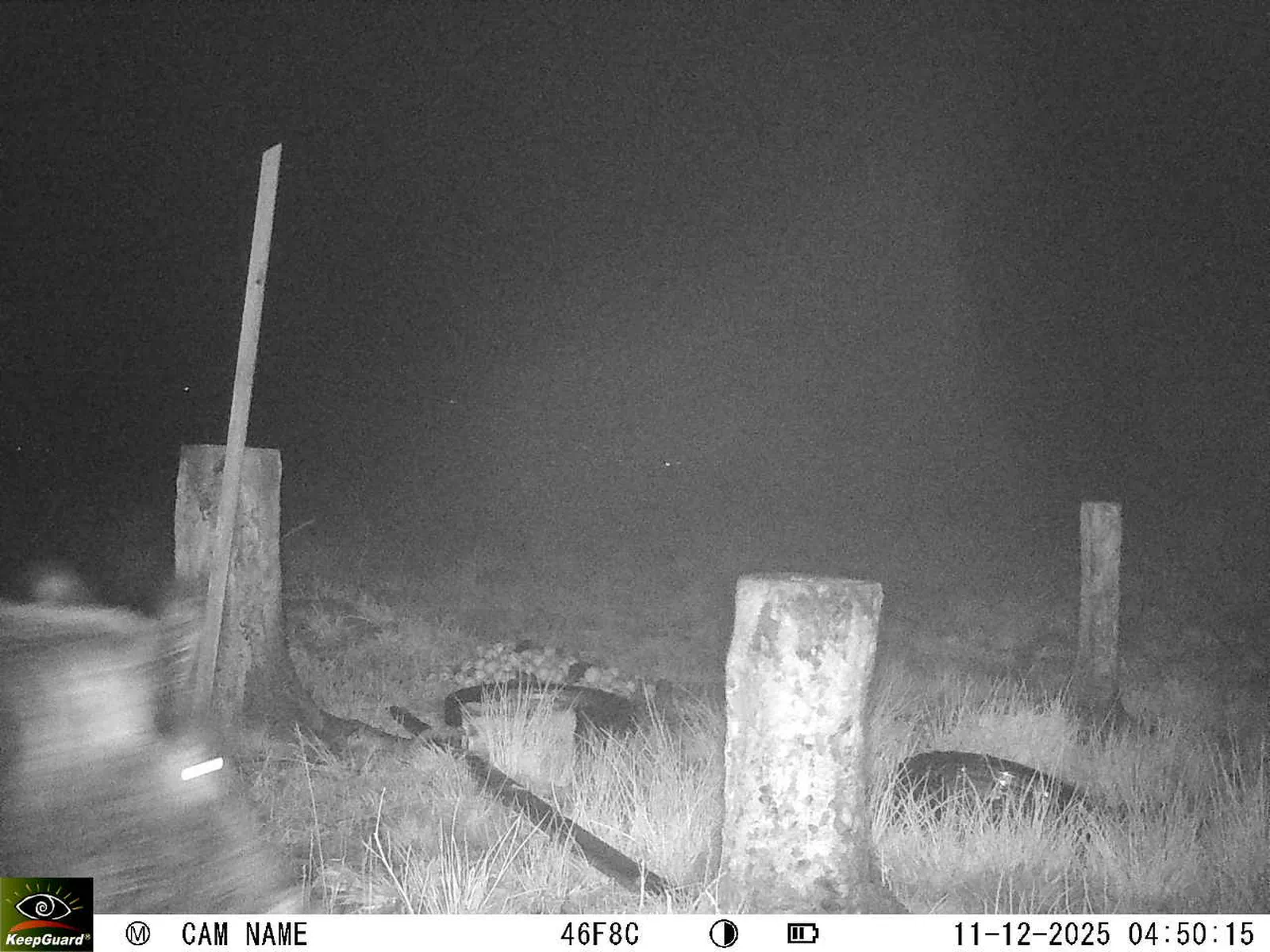 Bild: 1765421497465244265_12110144.webp