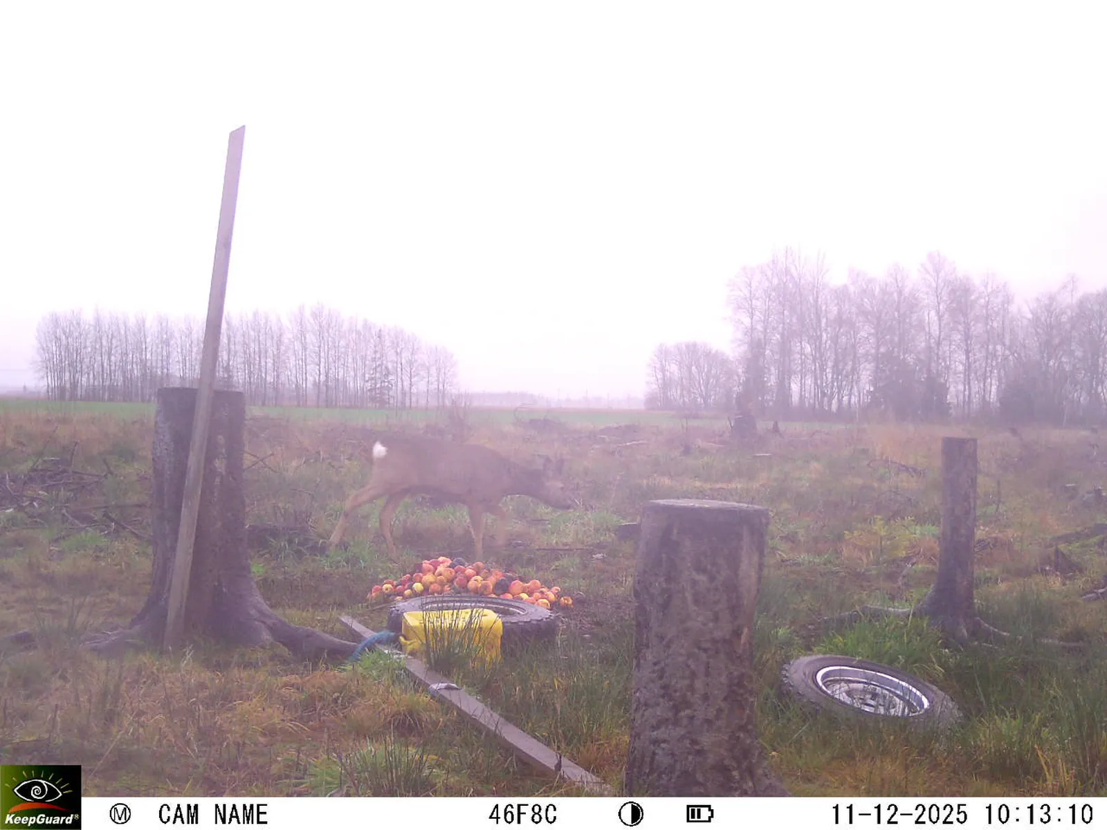 Bild: 1765440871317675667_12110145.webp