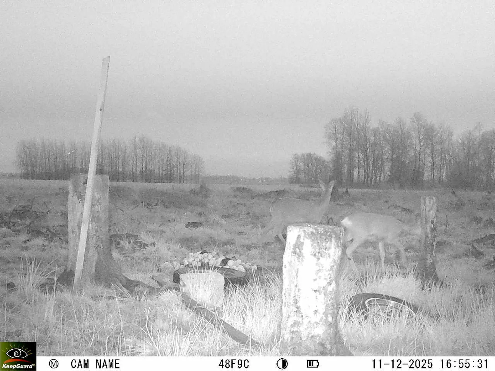 Bild: 1765465011677886527_12110147.webp