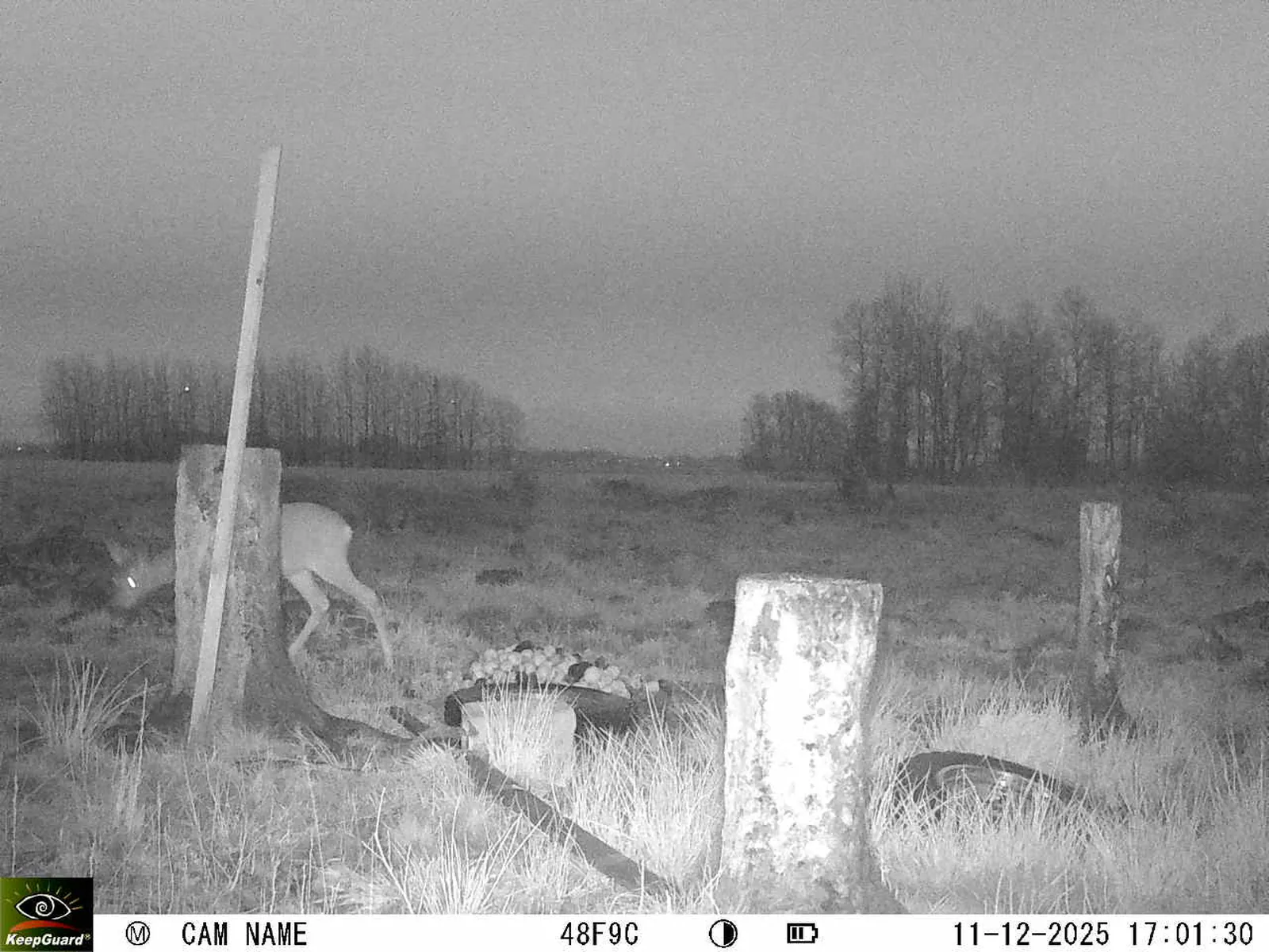 Bild: 1765465372917838787_12110148.webp