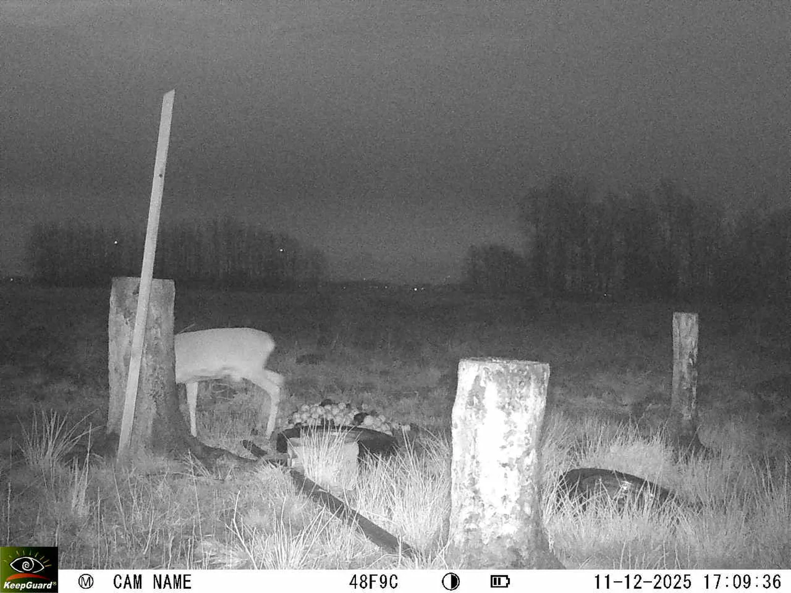 Bild: 1765465857871526965_12110149.webp