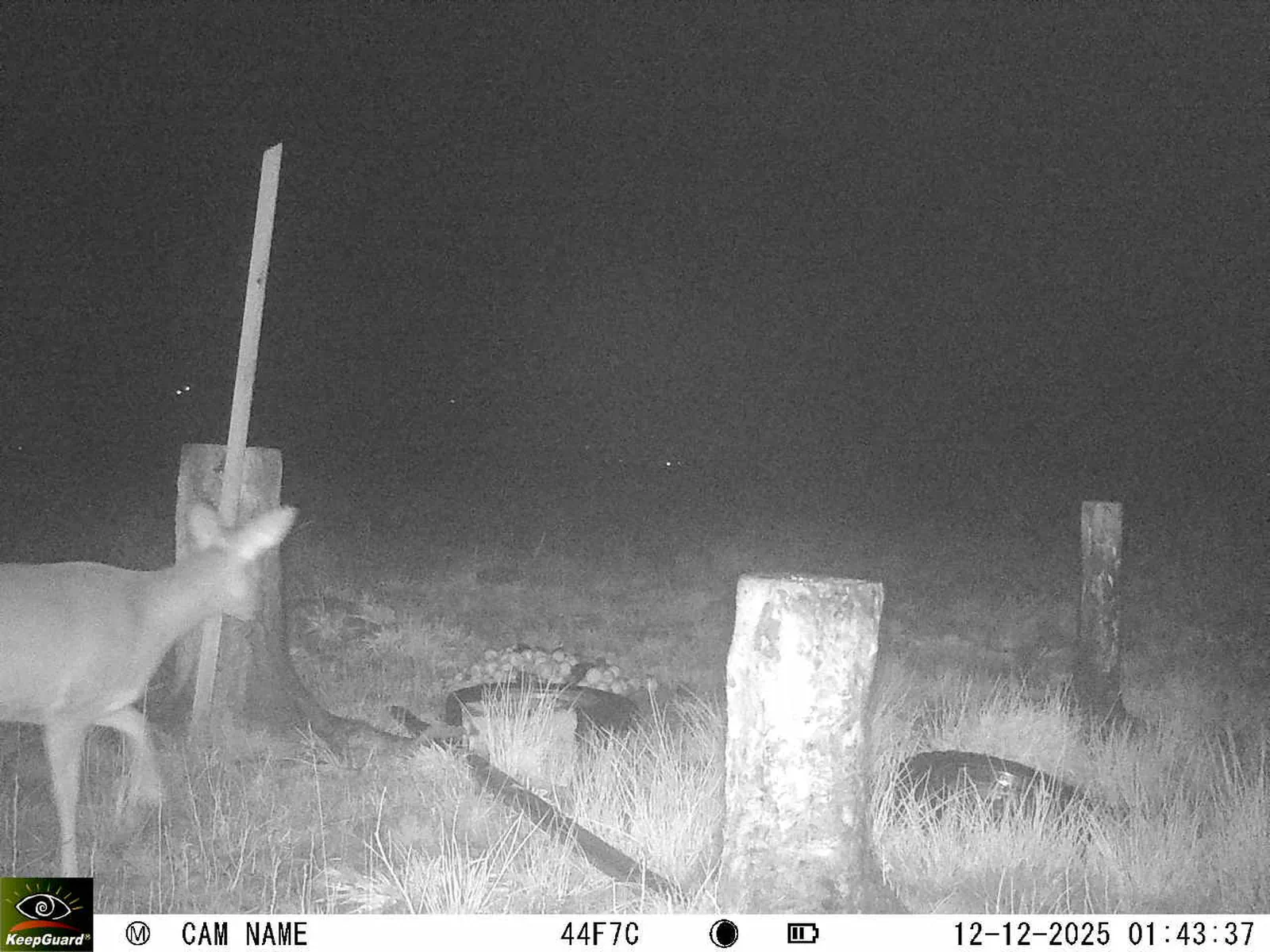 Bild: 1765496699439637830_12120154.webp