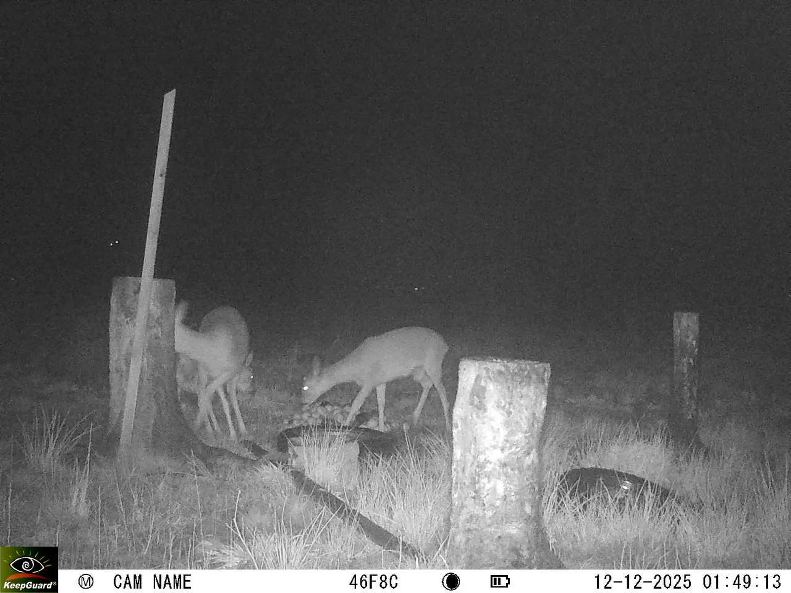 Bild: 1765497033433661756_12120155.webp