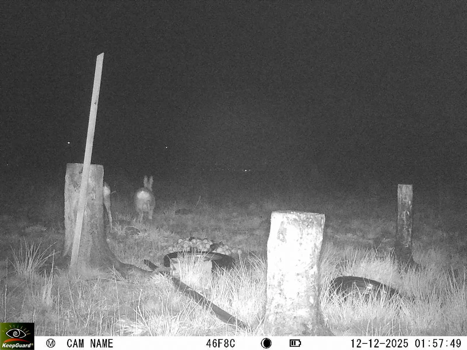 Bild: 1765497550351765018_12120156.webp