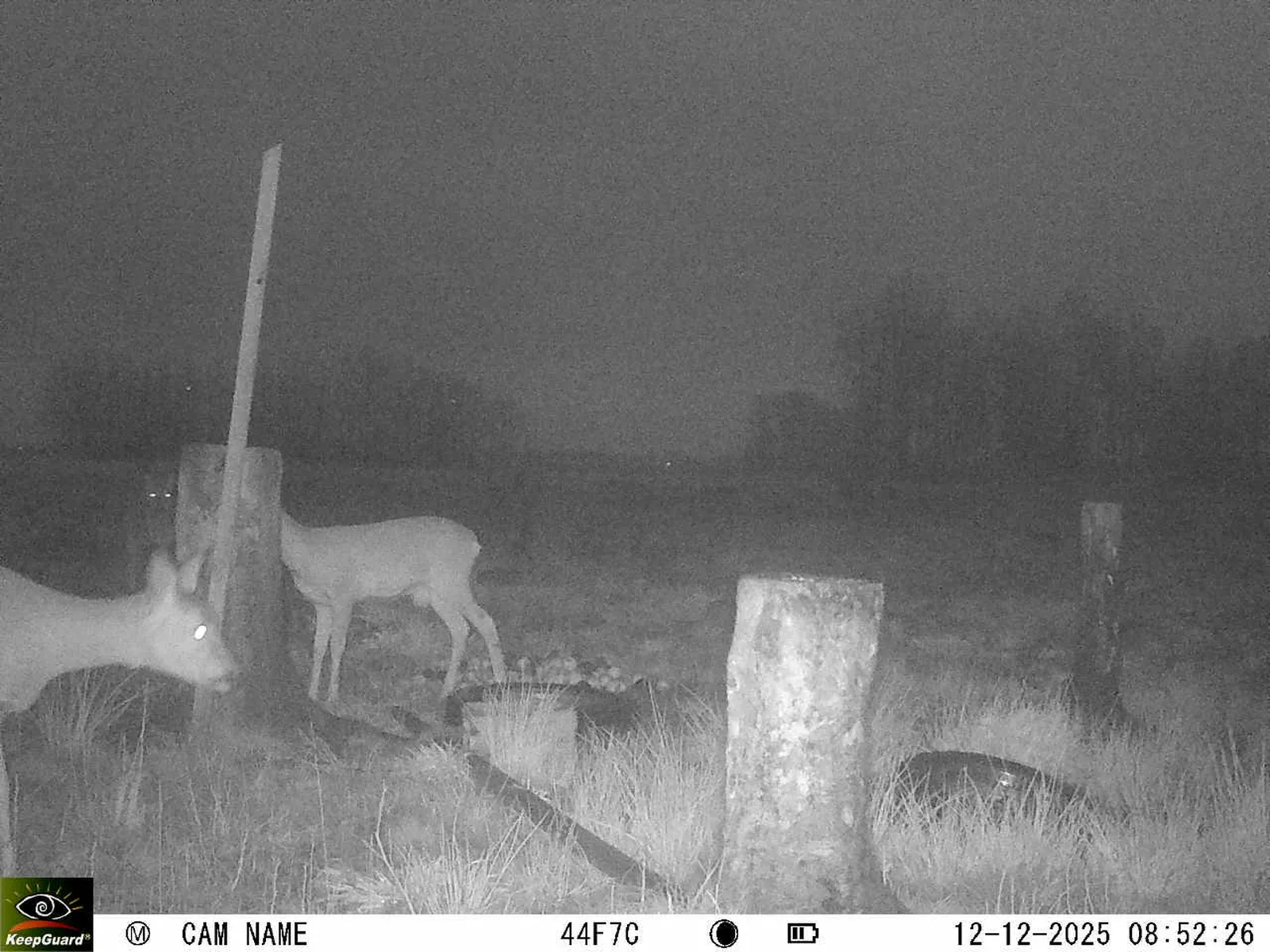 Bild: 1765522428986808571_12120161.webp