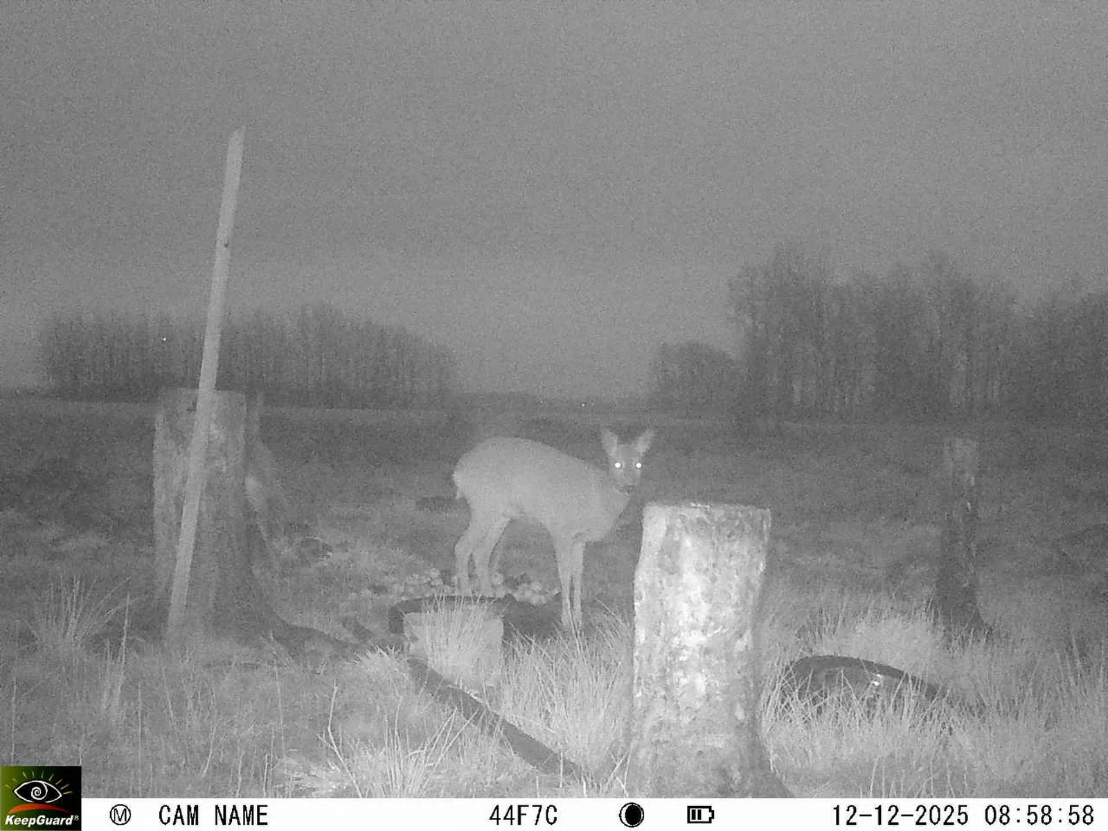 Bild: 1765522833093421169_12120162.webp