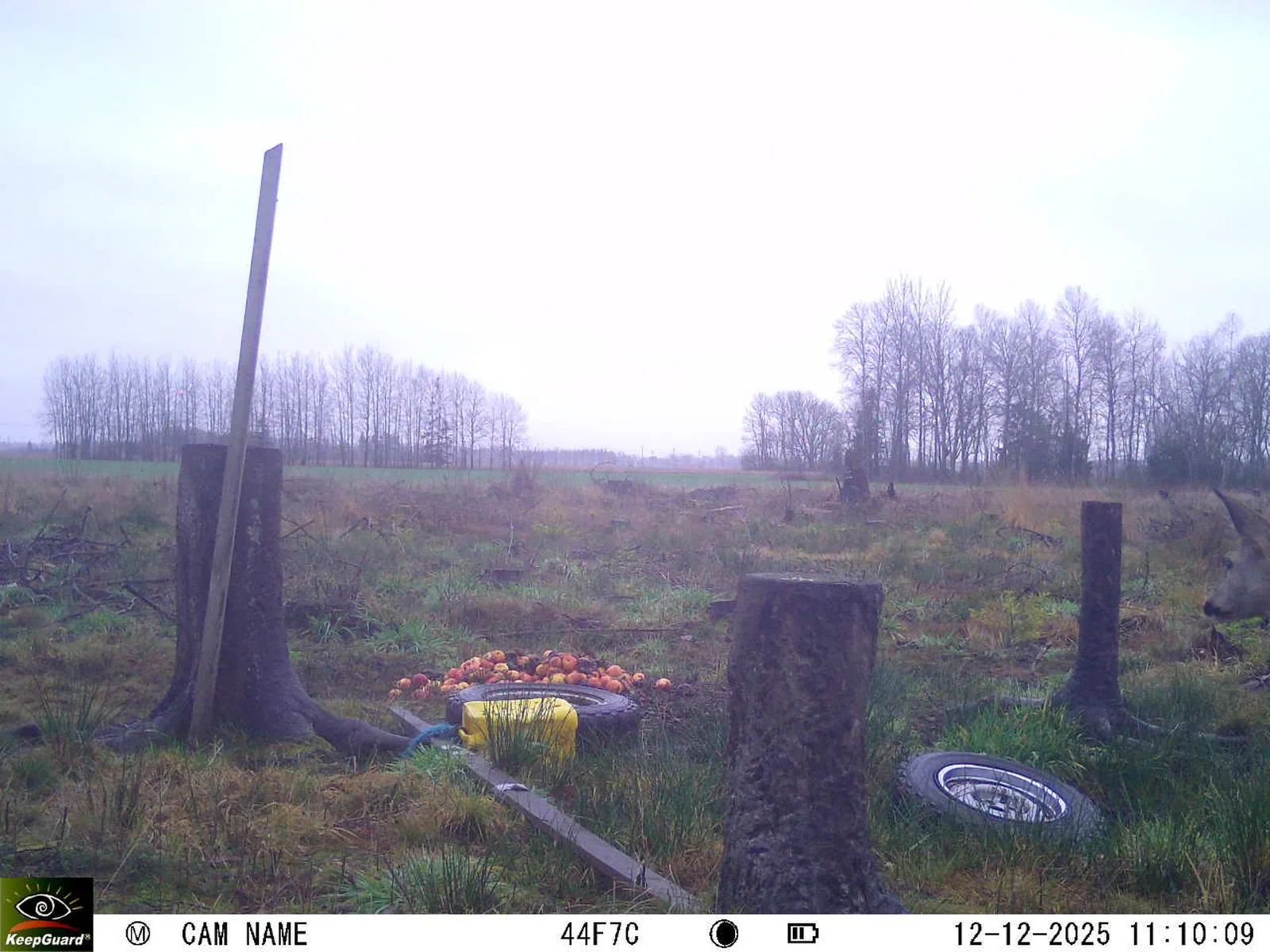 Bild: 1765530694385486075_12120163.webp