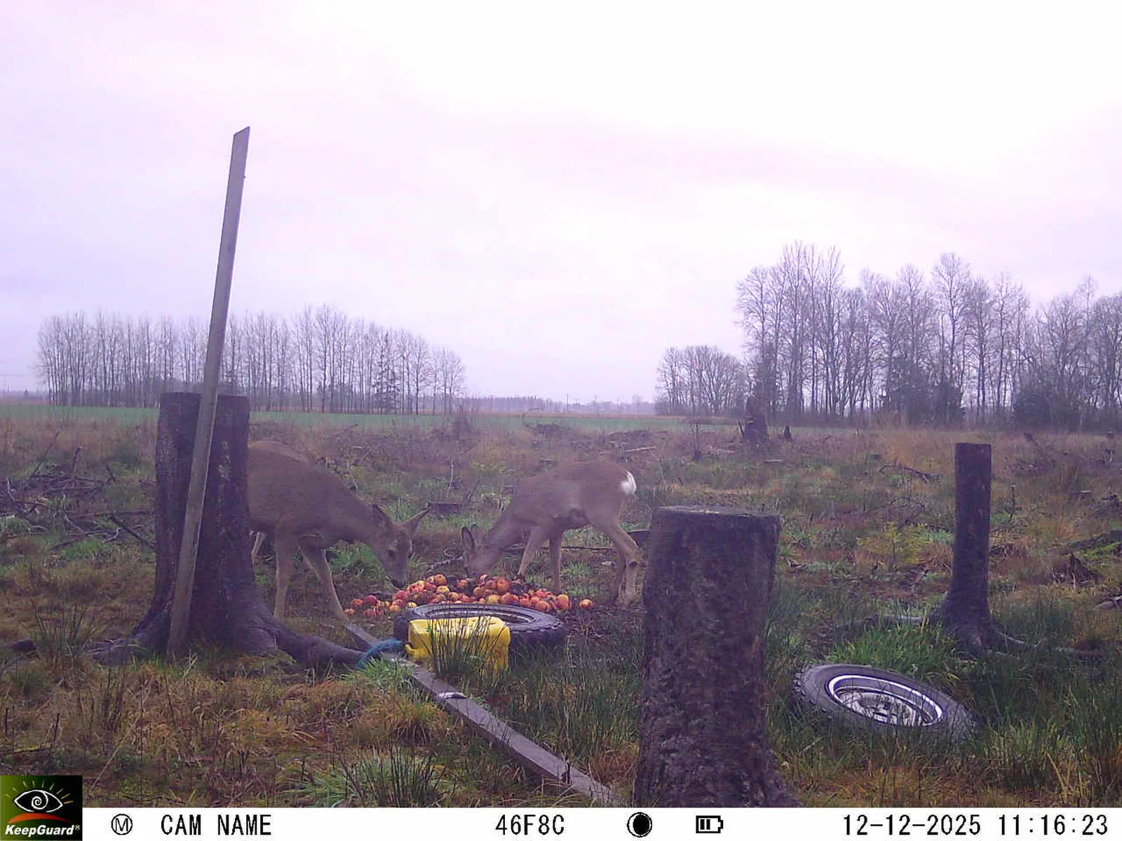 Bild: 1765531066426704598_12120164.webp