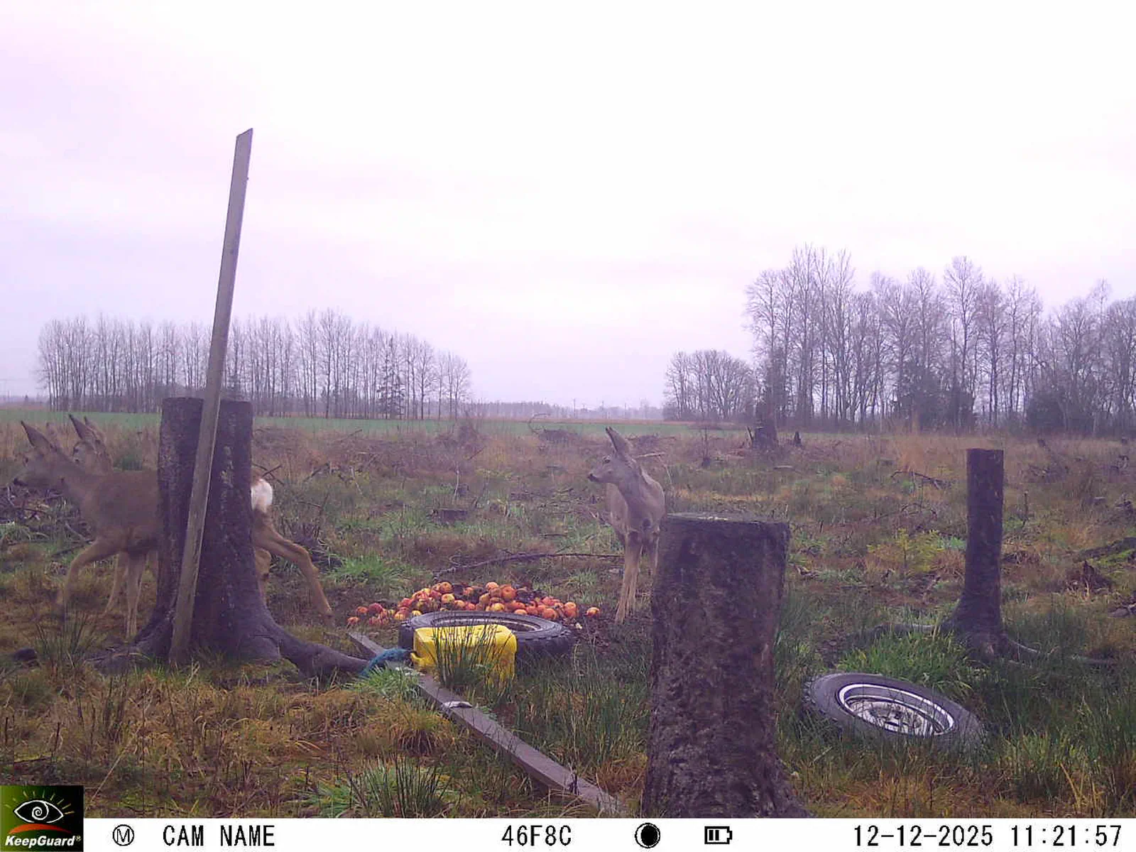 Bild: 1765531398087628833_12120165.webp