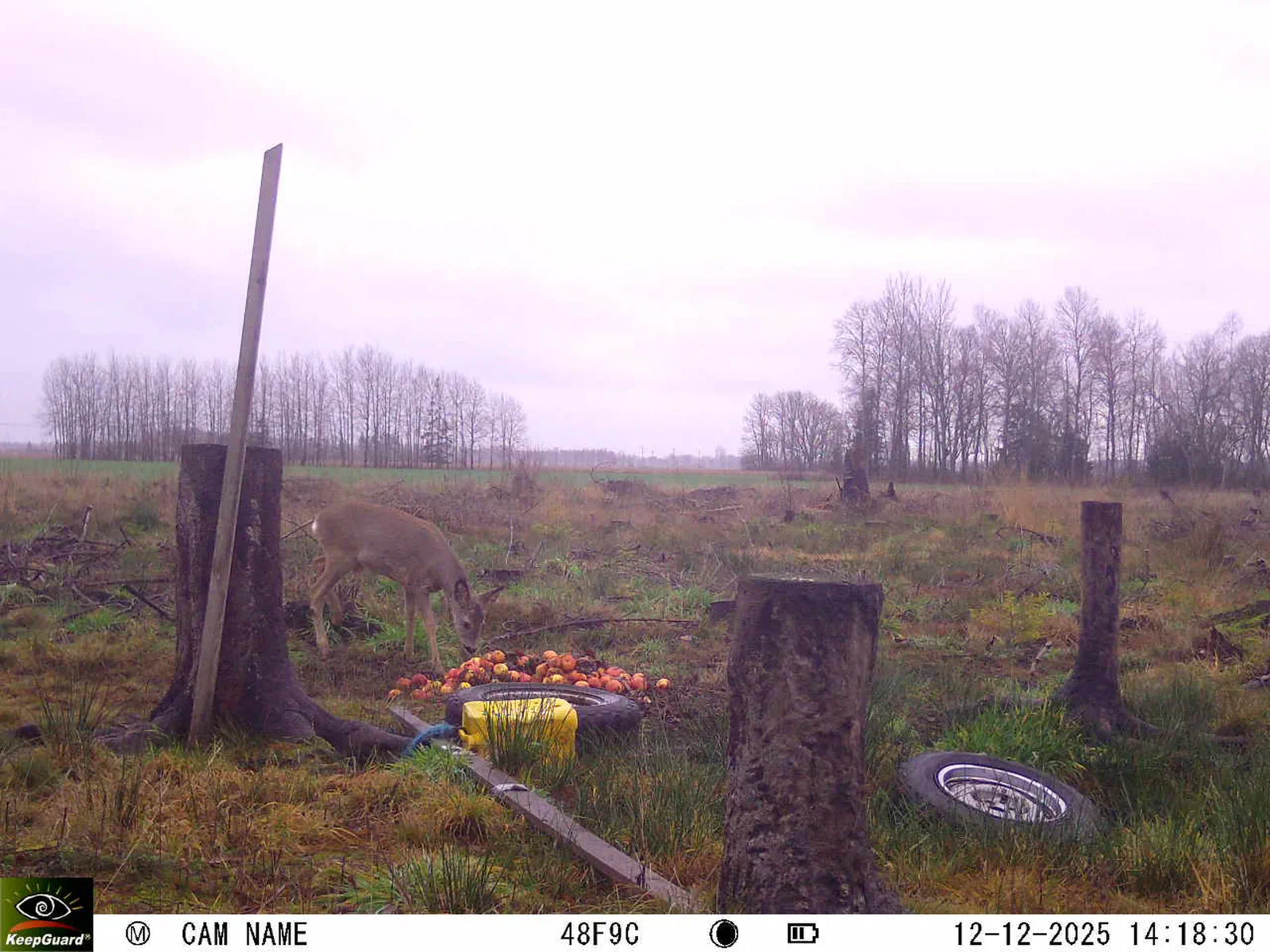 Bild: 1765541993409181033_12120166.webp