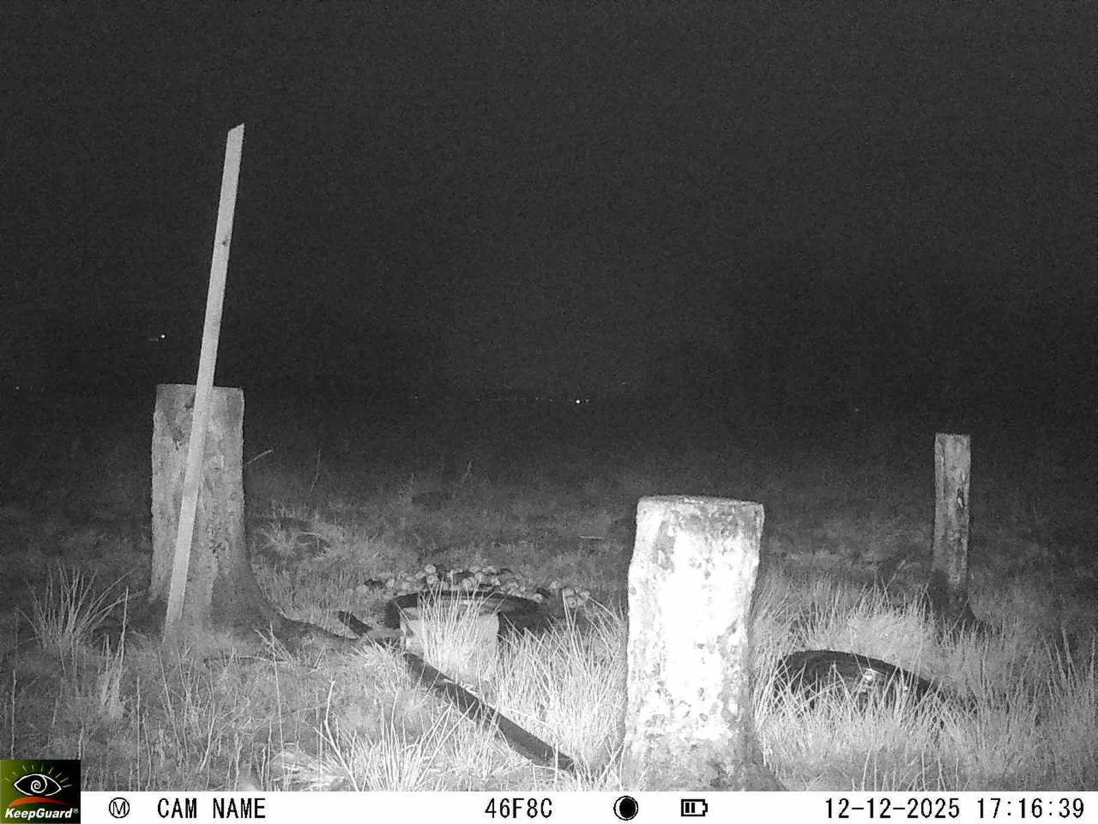 Bild: 1765552682798463408_12120168.webp