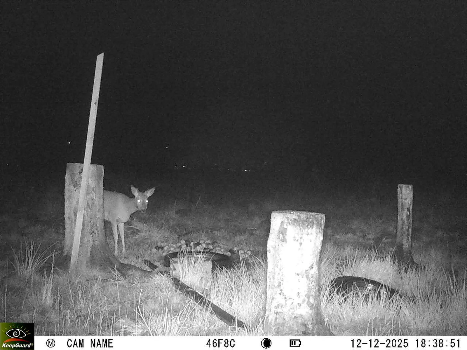 Bild: 1765557614606493497_12120169.webp