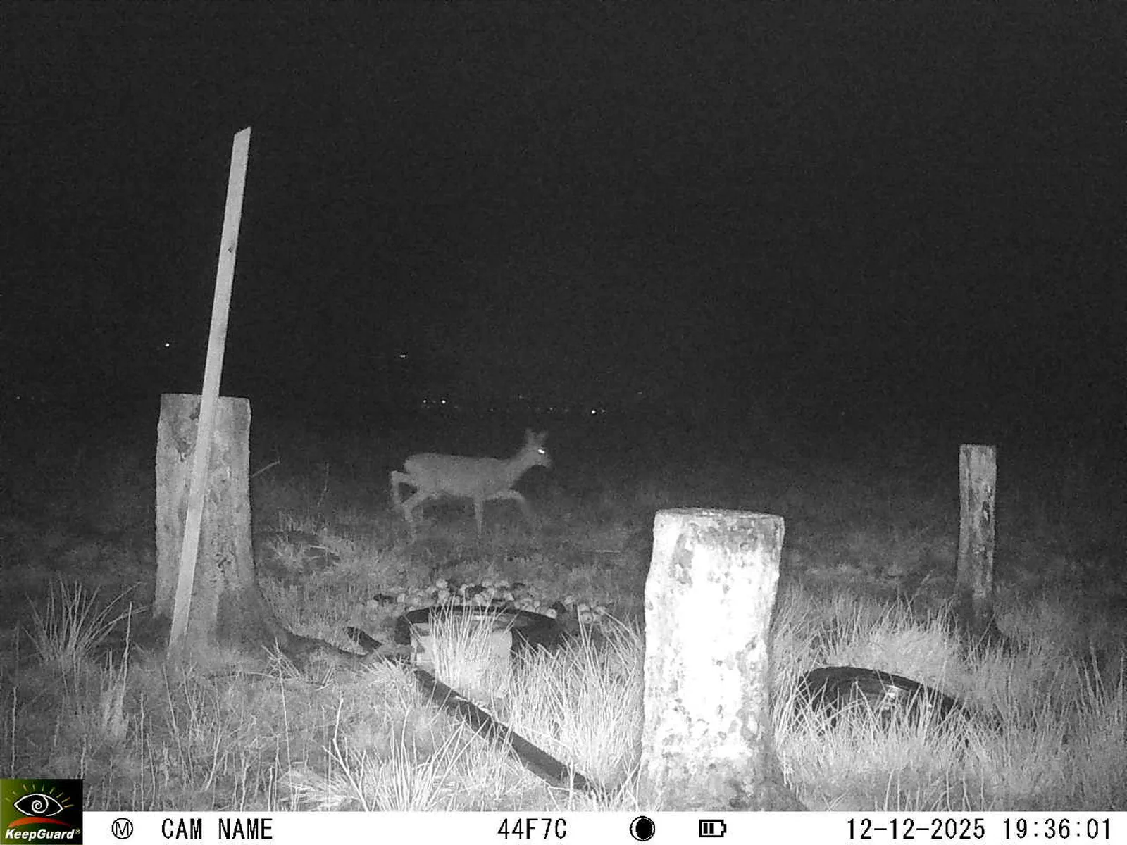 Bild: 1765561043947823385_12120171.webp