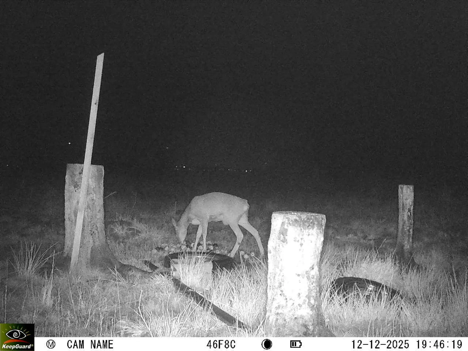 Bild: 1765561661508933125_12120172.webp