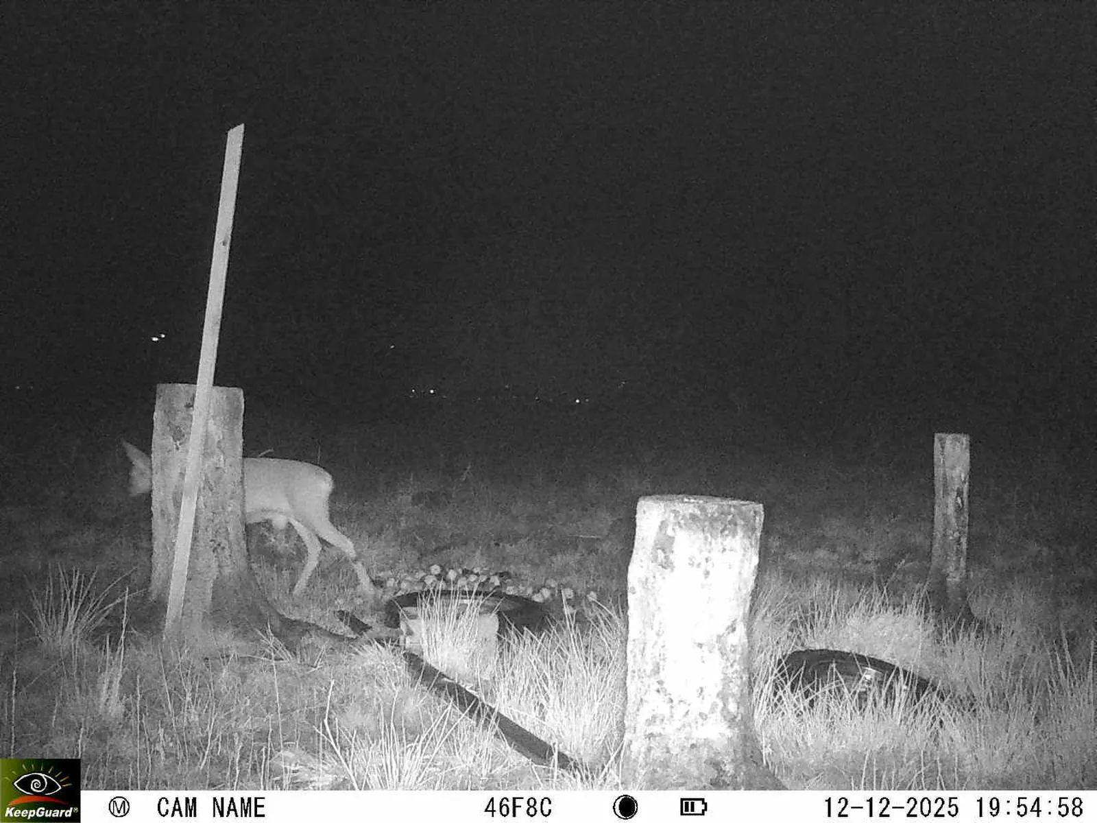 Bild: 1765562179252515767_12120173.webp