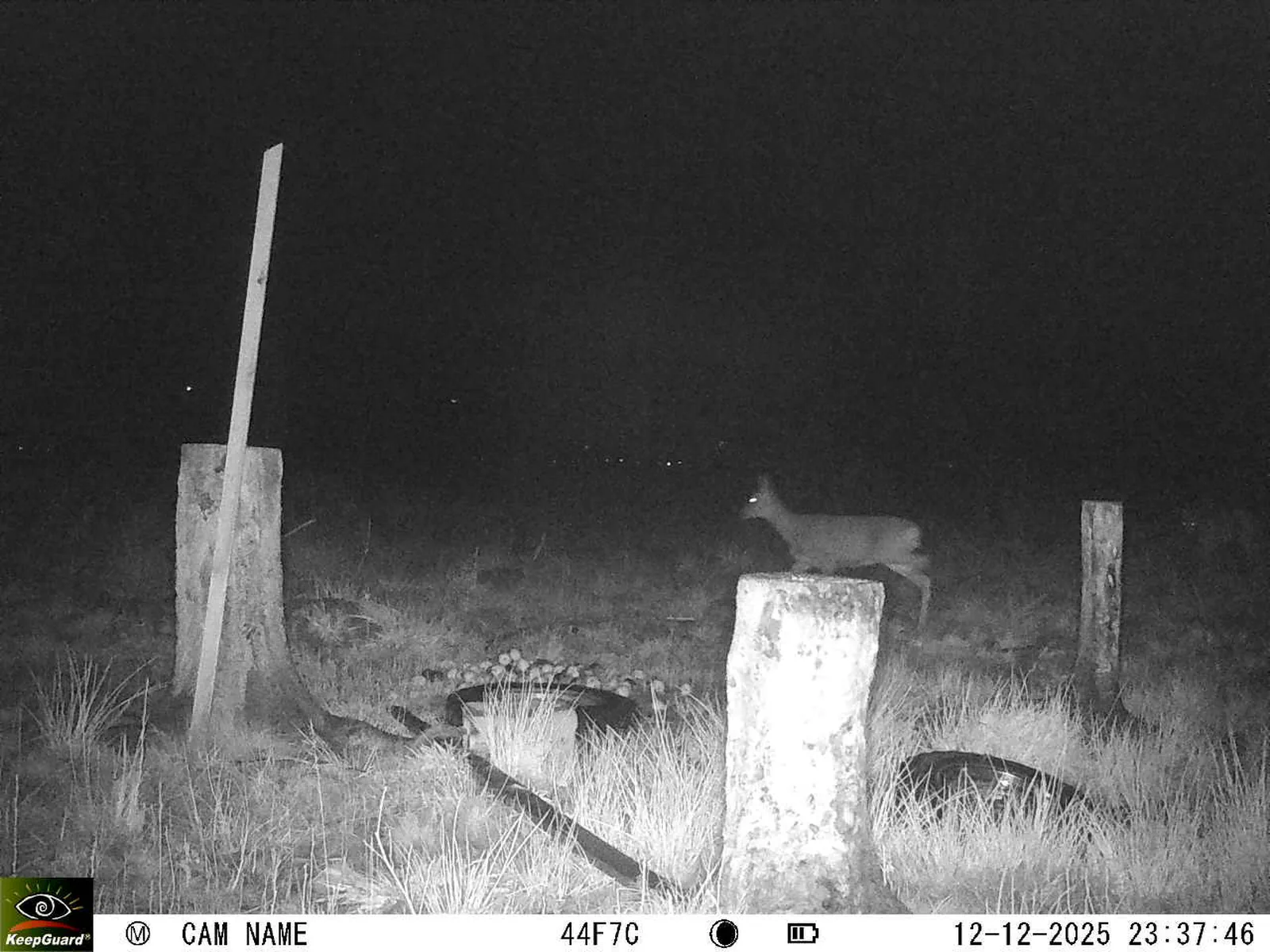 Bild: 1765575548467352218_12120175.webp