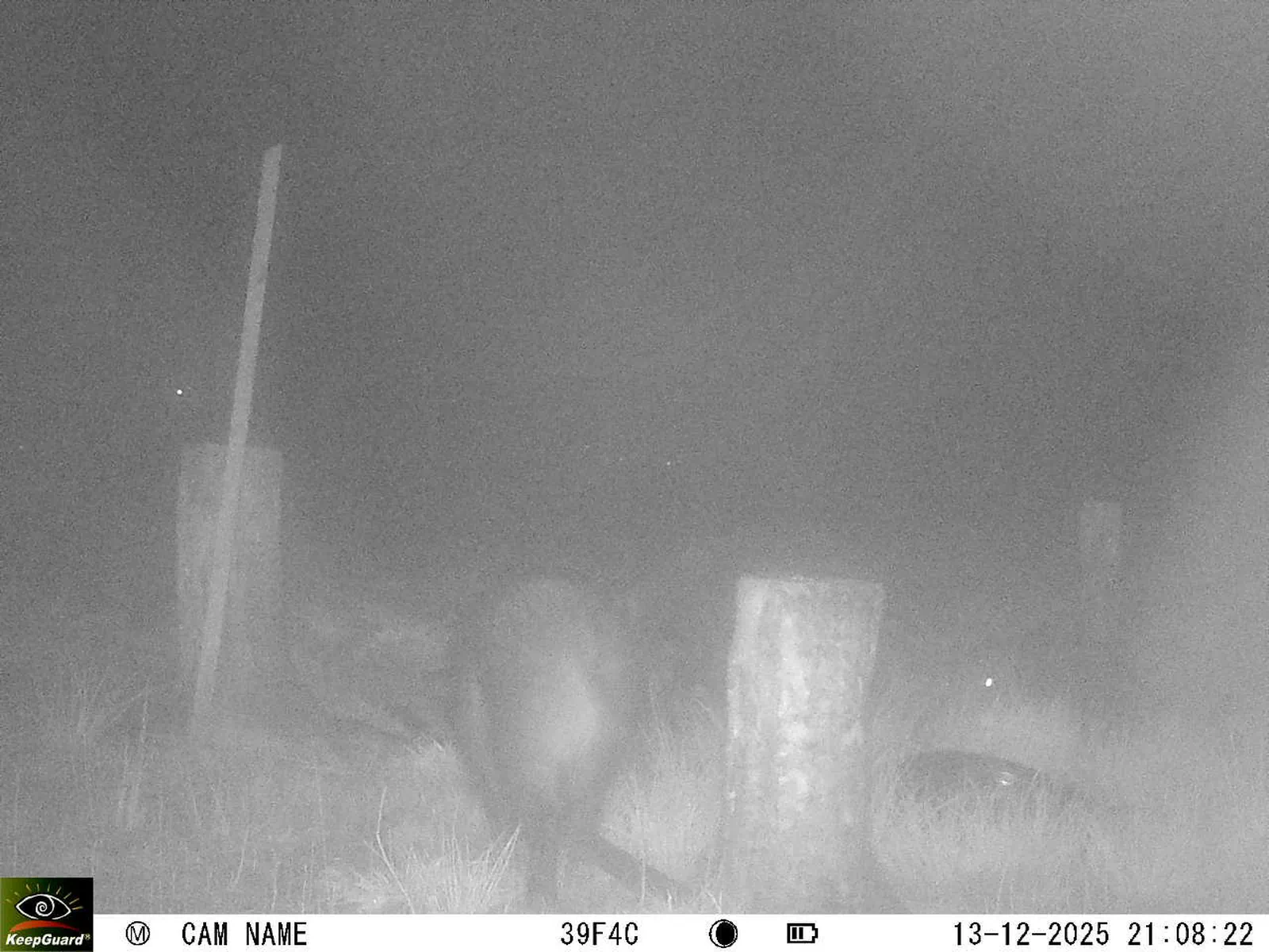 Bild: 1765652985216515918_12130180.webp