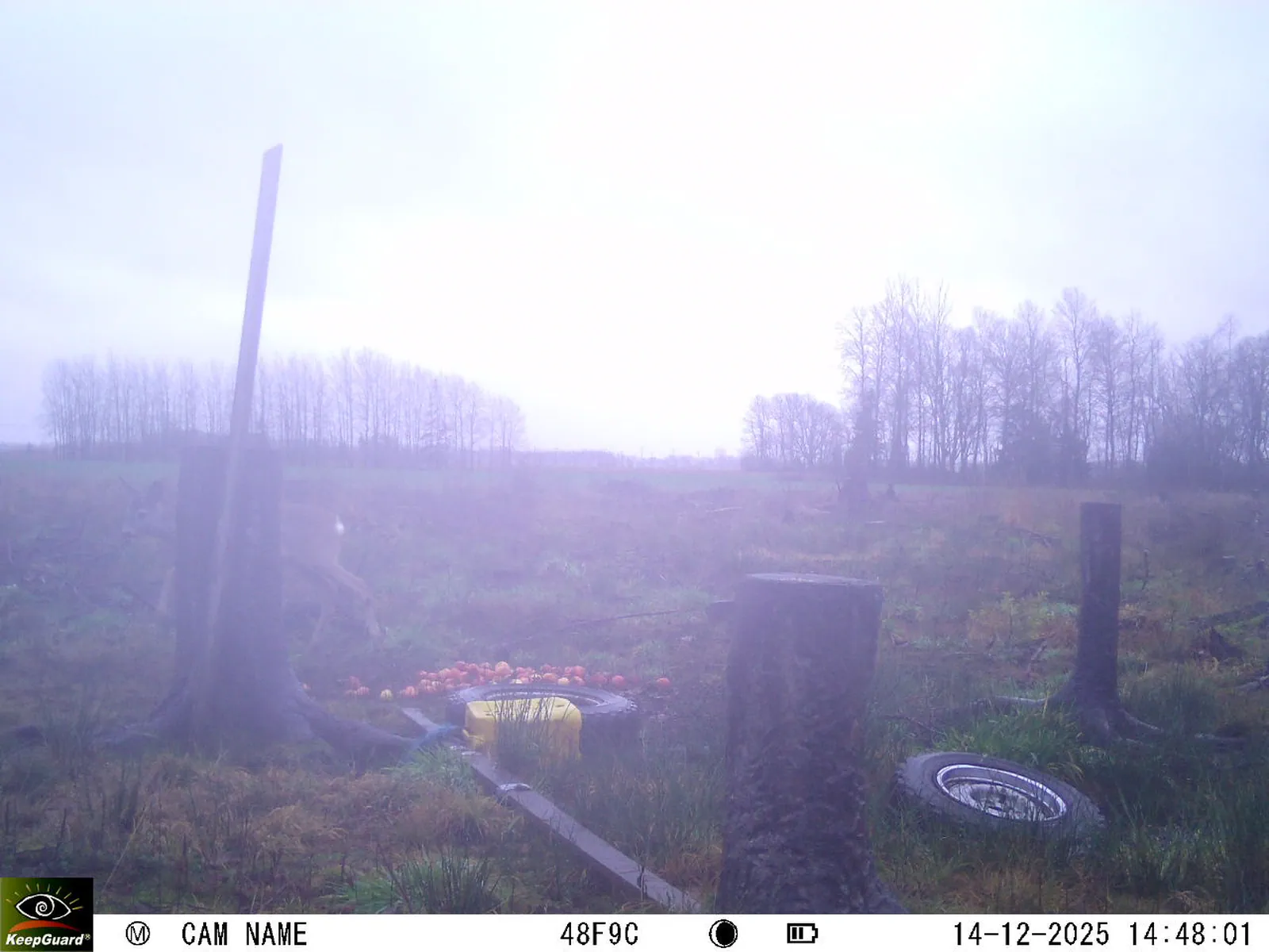 Bild: 1765716564988447460_12140182.webp