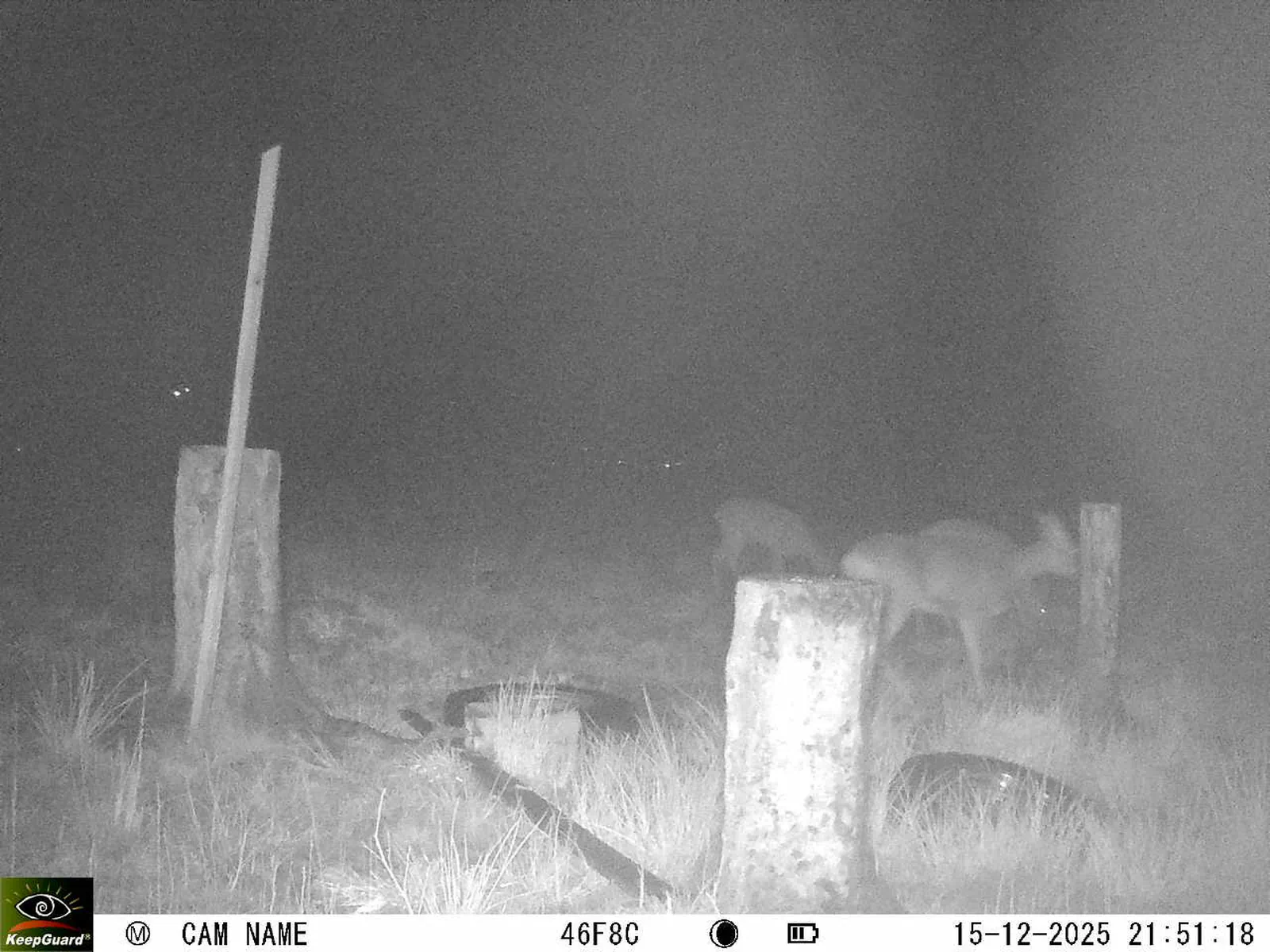 Bild: 1765828363081111600_12150184.webp