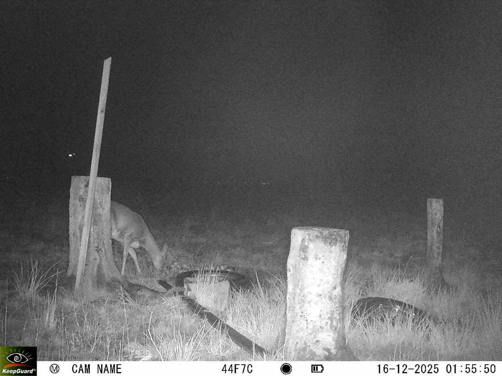 Bild: 1765843034328450407_12160186.webp